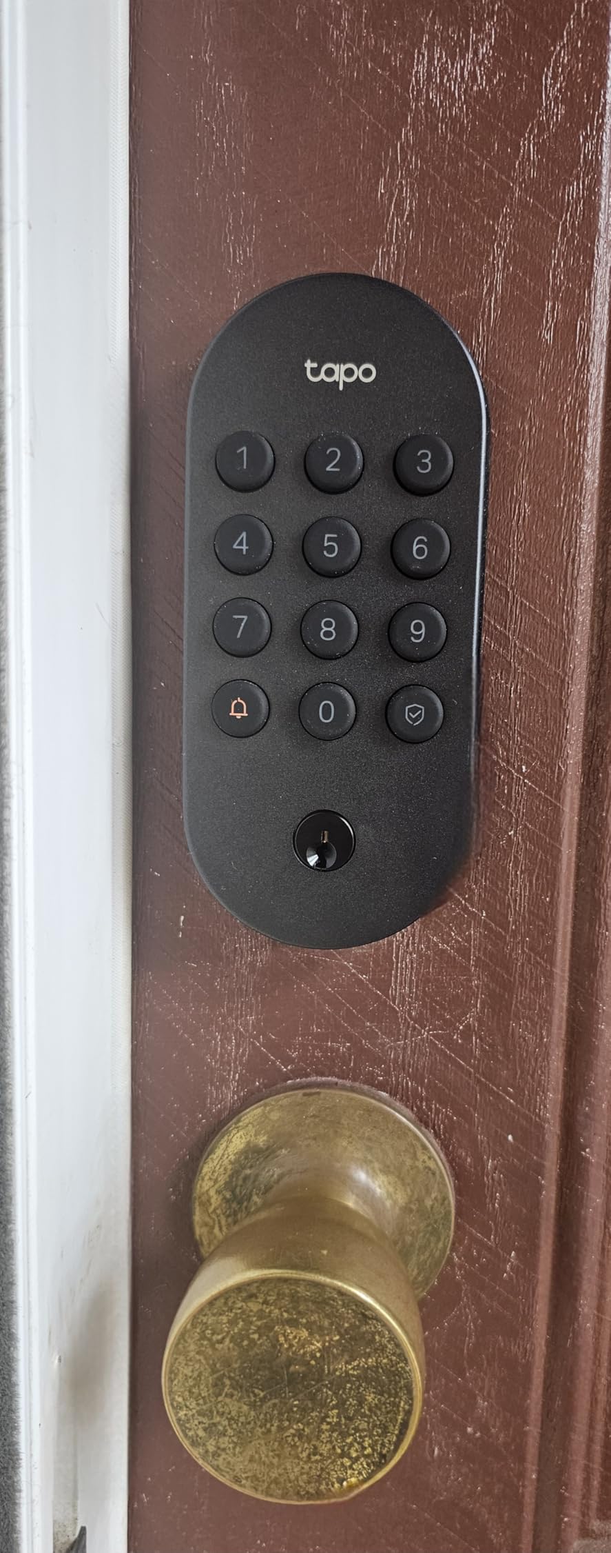 Tapo Smart Wi-Fi Deadbolt Door Lock - Keyless Tactile Buttons, Customized Access with in-App Monitoring, Auto-Lock, IP54 Weatherproof, BHMA Grade 3, Compatible with Standard Door Sizes, Tapo DL100 customer photo 1