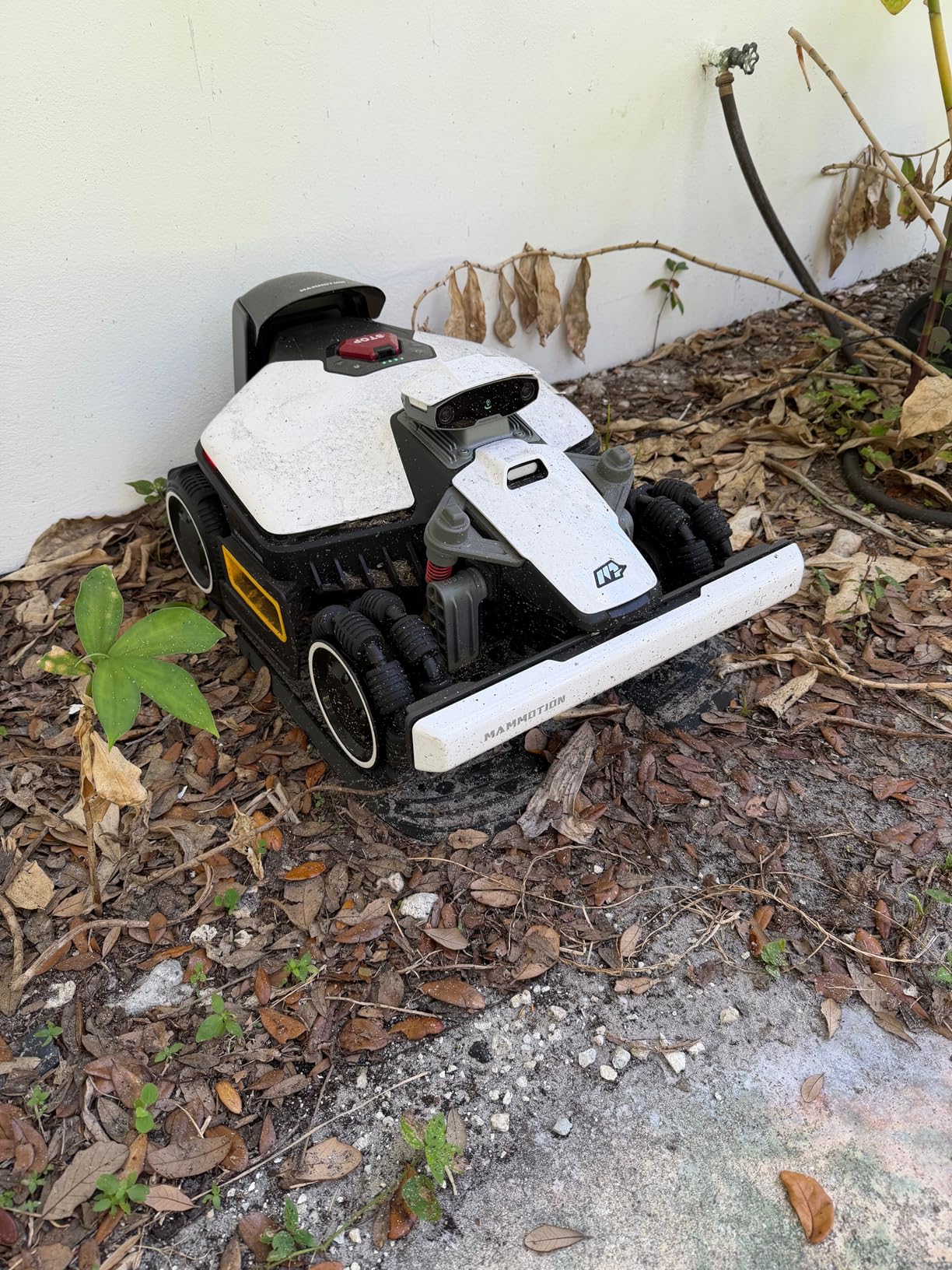 (2026 NEW) Mammotion LUBA mini 2 AWD 1500H Robot Lawn Mower with Garage, for 0.37 Acres, 360° LiDAR+Dual-Camera AI Vision, 80% Slope, DropMow, 20 Multi-Zone Management customer photo 1