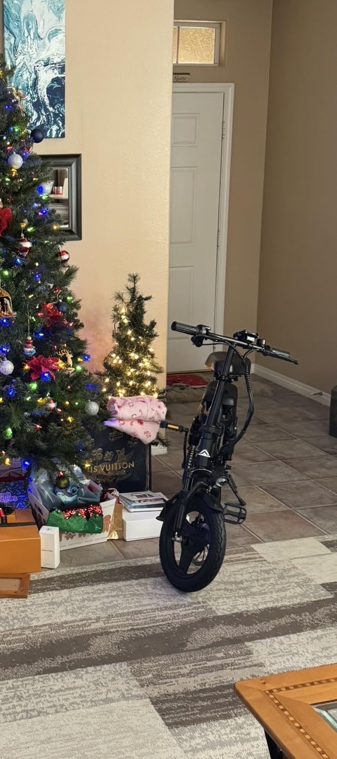 INSDRGN Electric Bike for Adults and Teens,14 INSDRGN Electric Bike for Adults and Teens,14