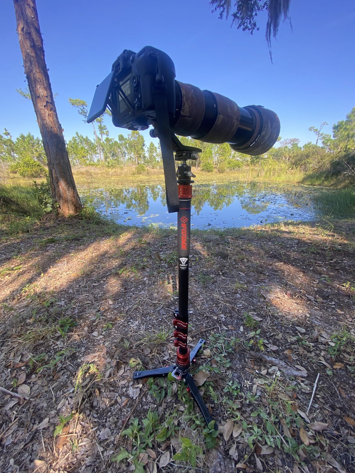 IFOOTAGE Cobra 3 Strike Monopod with Fluid Head K5S, 59