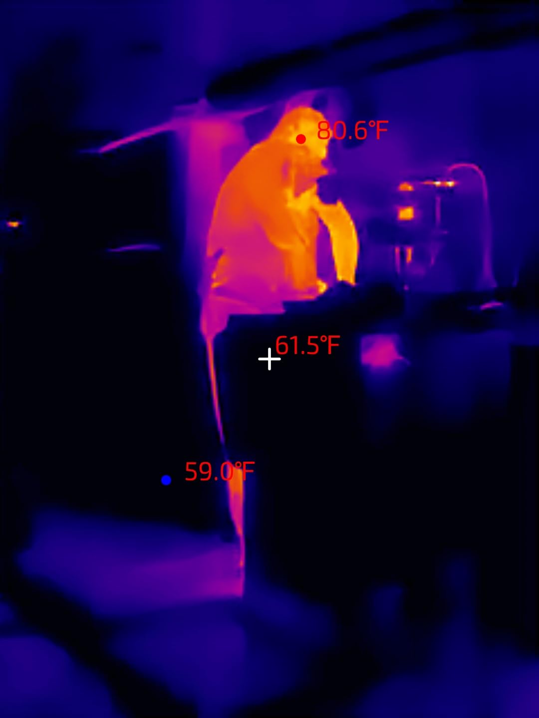 Thermal Master Thermal Camera for USB-C iPhone and Android, P1 Thermal Imaging Camera with 320×240 X³ IR Resolution, -4℉ to 1112℉, 160×120 Infrared Camera (iOS and Android) Customer Review Thermal Master Thermal Camera for USB-C iPhone and Android, P1 Thermal Imaging Camera with 320×240 X³ IR Resolution, -4℉ to 1112℉, 160×120 Infrared Camera (iOS and Android) - Customer Photo 1