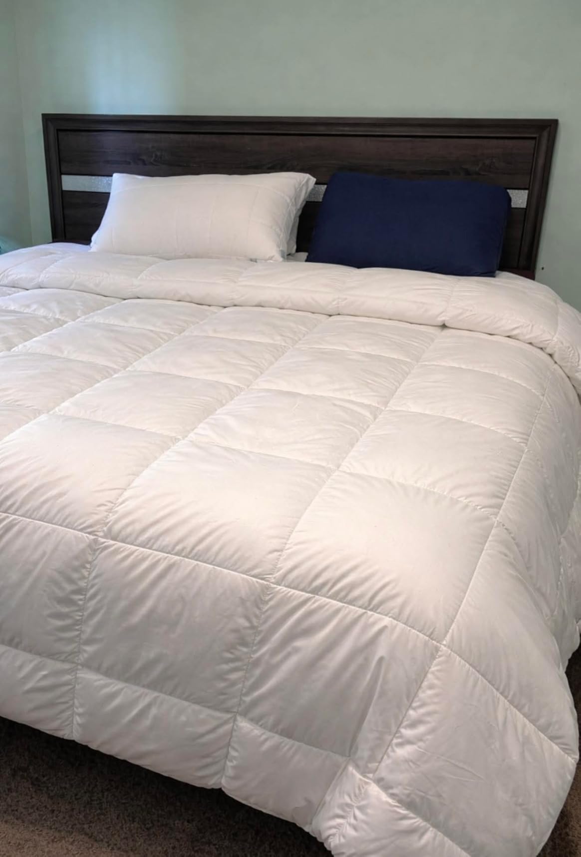 THX9ZRNM 75% Canadian Goose Down Comforter Queen Size, Ultra Soft 100% Cotton Fabric, 850 Fill Power All Season Duvet Insert, Hotel Luxury Bedding Comforters (White,90