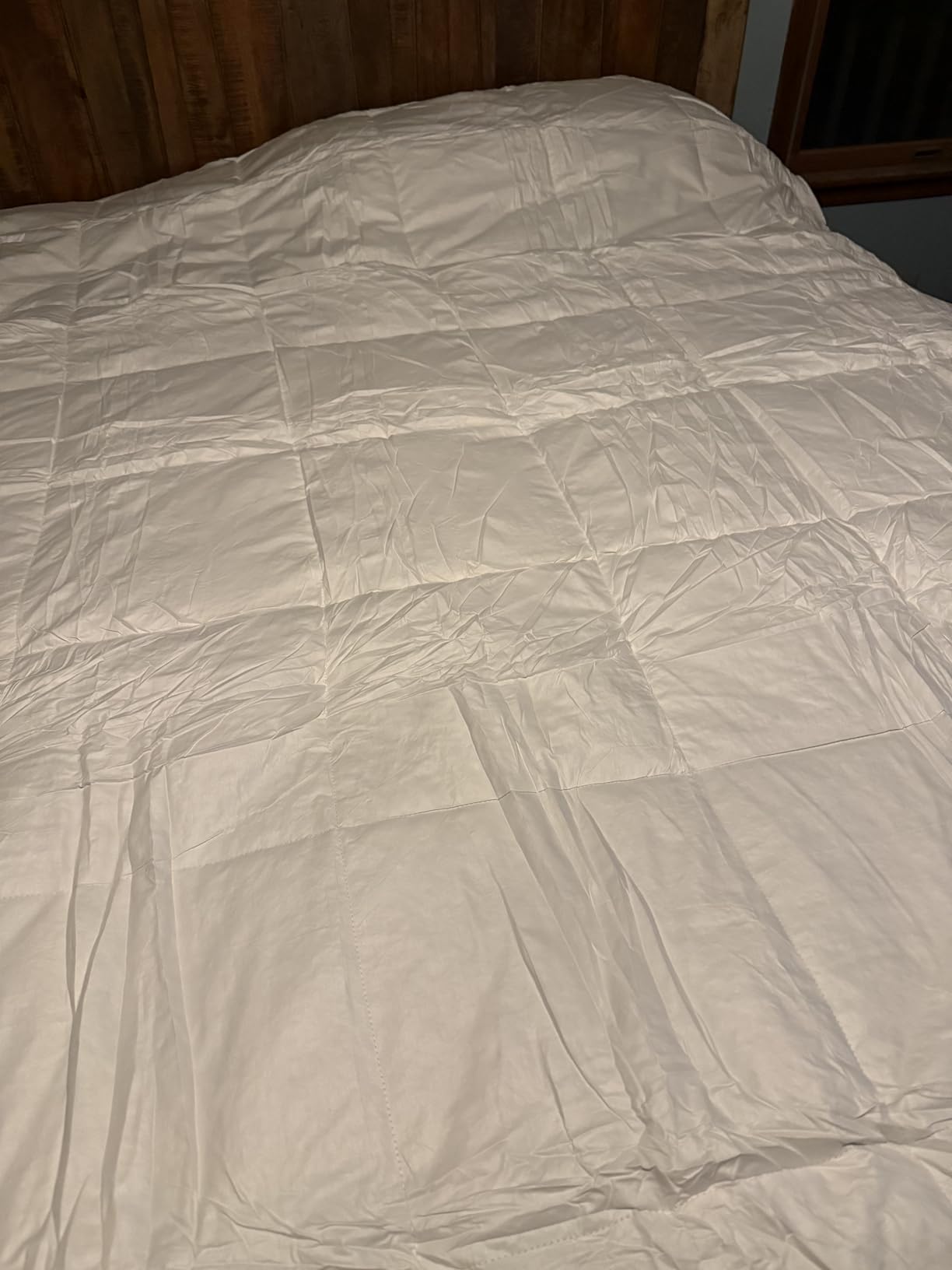 THX9ZRNM 75% Canadian Goose Down Comforter Queen Size, Ultra Soft 100% Cotton Fabric, 850 Fill Power All Season Duvet Insert, Hotel Luxury Bedding Comforters (White,90
