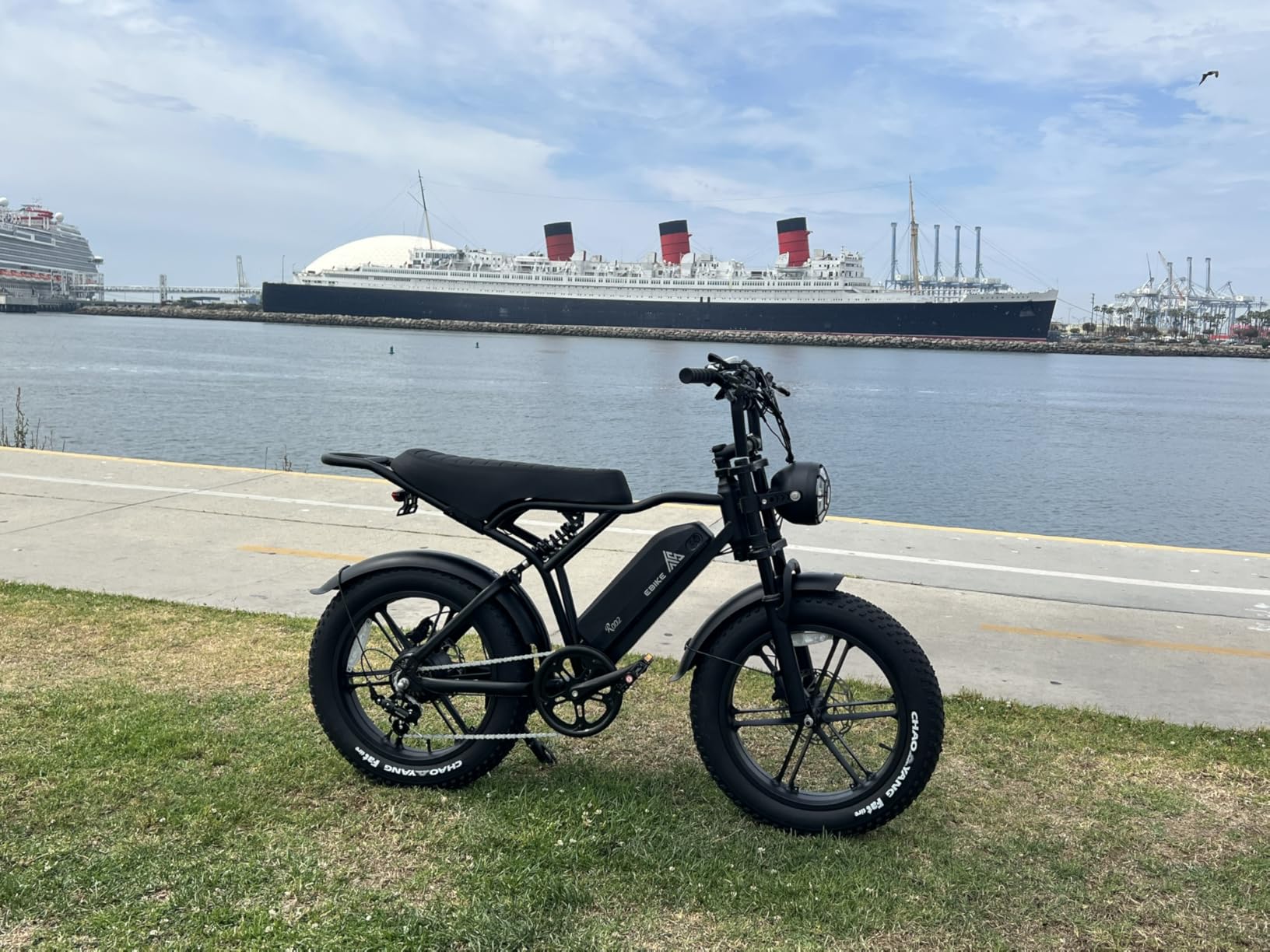 TST Electric Bike for Adults 1500W Peak 20 TST Electric Bike for Adults 1500W Peak 20