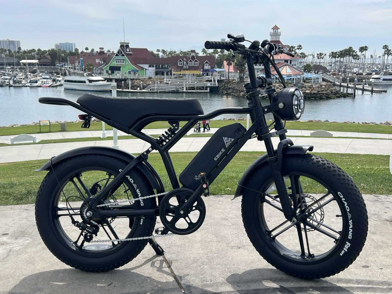 TST Electric Bike for Adults 1500W Peak 20 TST Electric Bike for Adults 1500W Peak 20