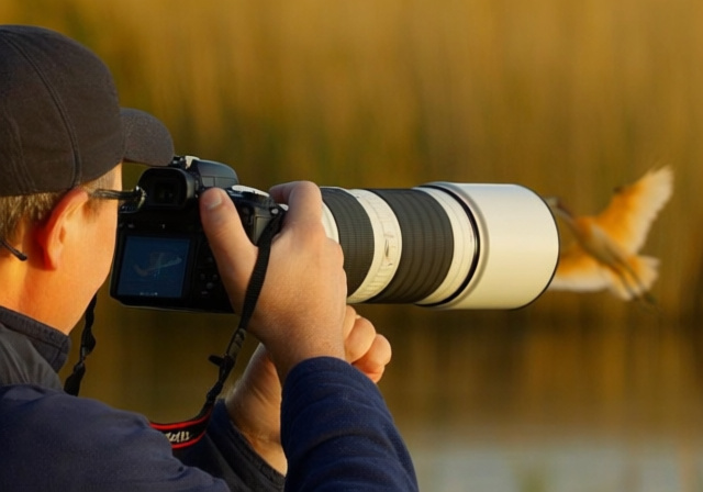 Best Canon Cameras for Wildlife Photography [cy]: 8 Models Tested - rosenberryrooms