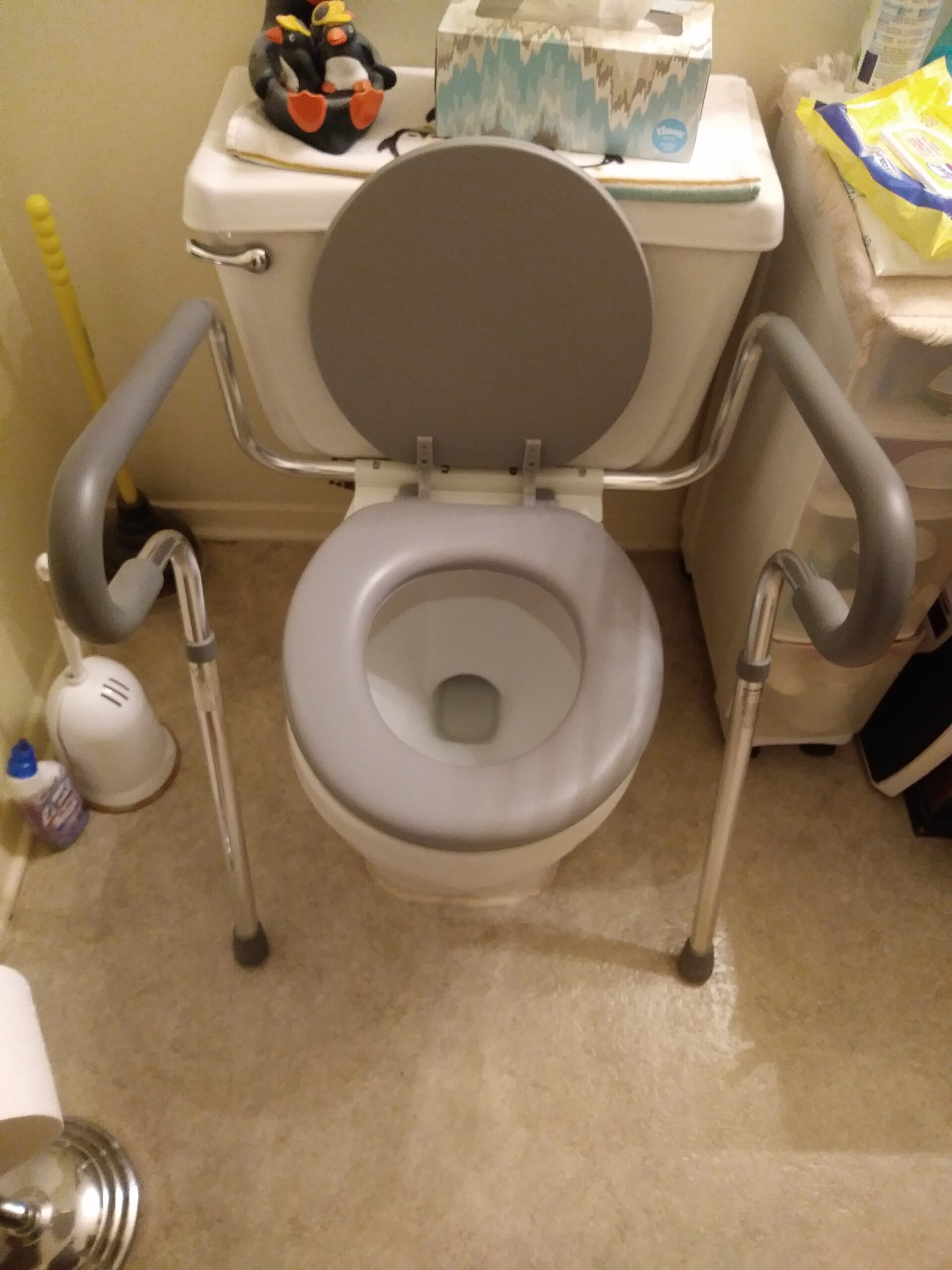 Ginsey Cushioned Soft Toilet Seat for Stylish Bathroom Decor, Chocolate Brown, Standard customer photo 1