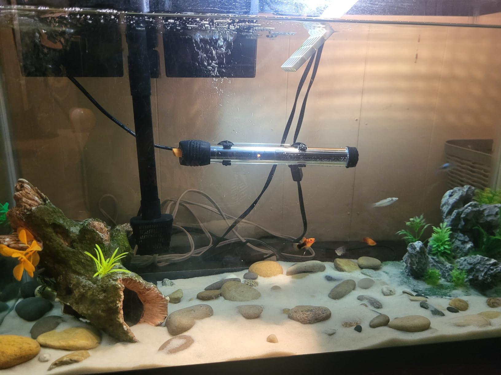 AQUA-TECH Power Aquarium Filter, 30 to 60-Gallon Aquariums, (ML90740-00) customer photo 1