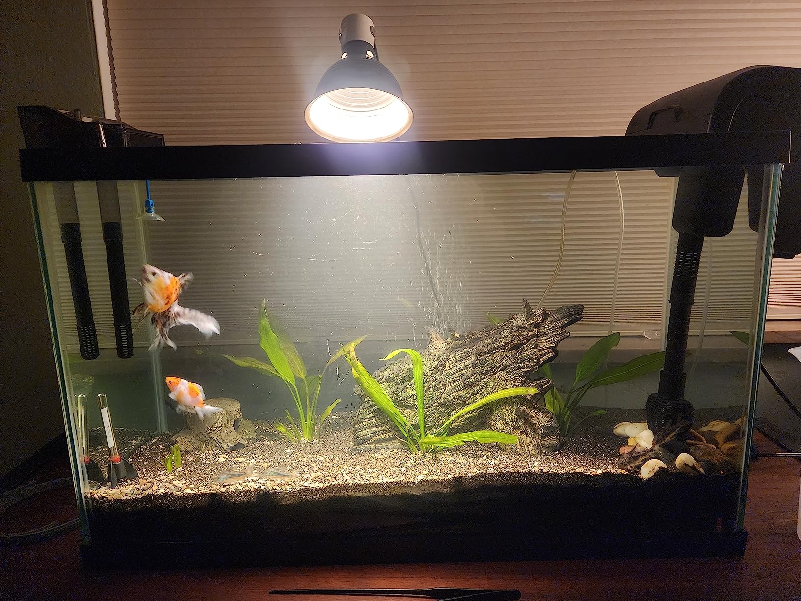 Fluval C3 Power Filter, Fish Tank Filter for Aquariums up to 50 Gal. customer photo 1