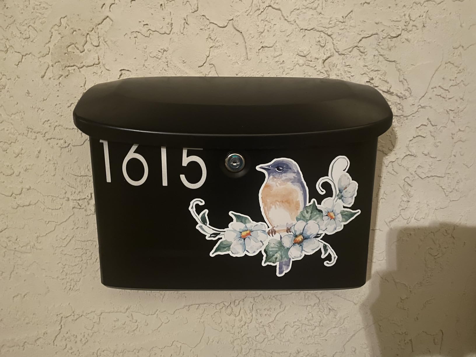 Architectural Mailboxes Princeton Locking Wall-Mounted Mailbox for Outside, Metal Galvanized Steel Medium Mail Box with Lock and Key Drop Box, Black customer photo 1