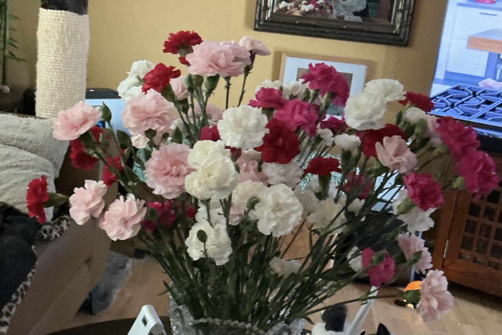 Benchmark Bouquets - 20 Stem Rainbow Mini Carnations (Glass Vase Included) - Fresh Flowers for Next Day Delivery Customer Review Benchmark Bouquets - 20 Stem Rainbow Mini Carnations (Glass Vase Included) - Fresh Flowers for Next Day Delivery - Customer Photo 1