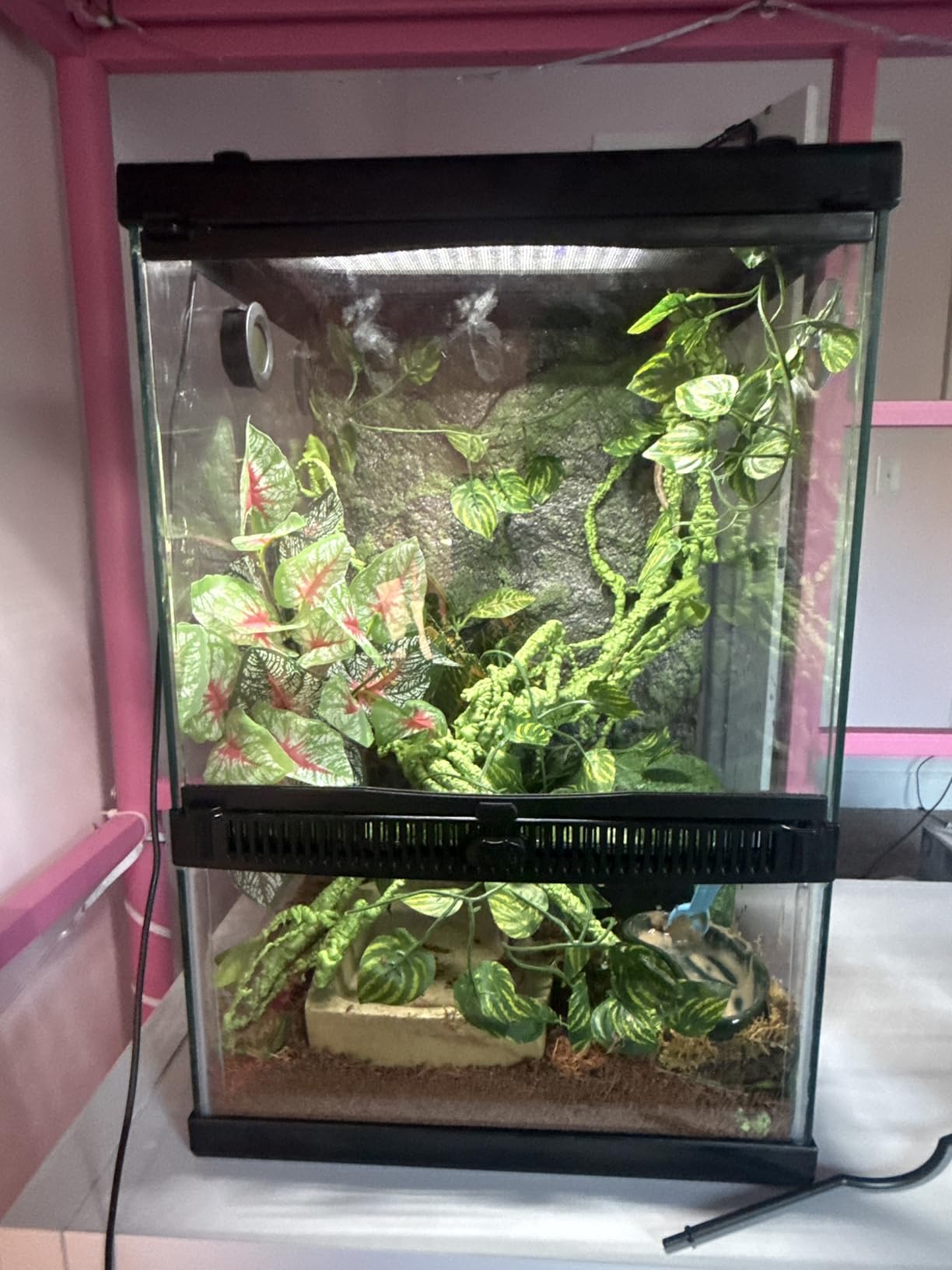 Zilla 11 Gallon Glass Tropical Vertical Habitat Starter Kit for Small Tree Dwelling Reptiles & Amphibians customer photo 1