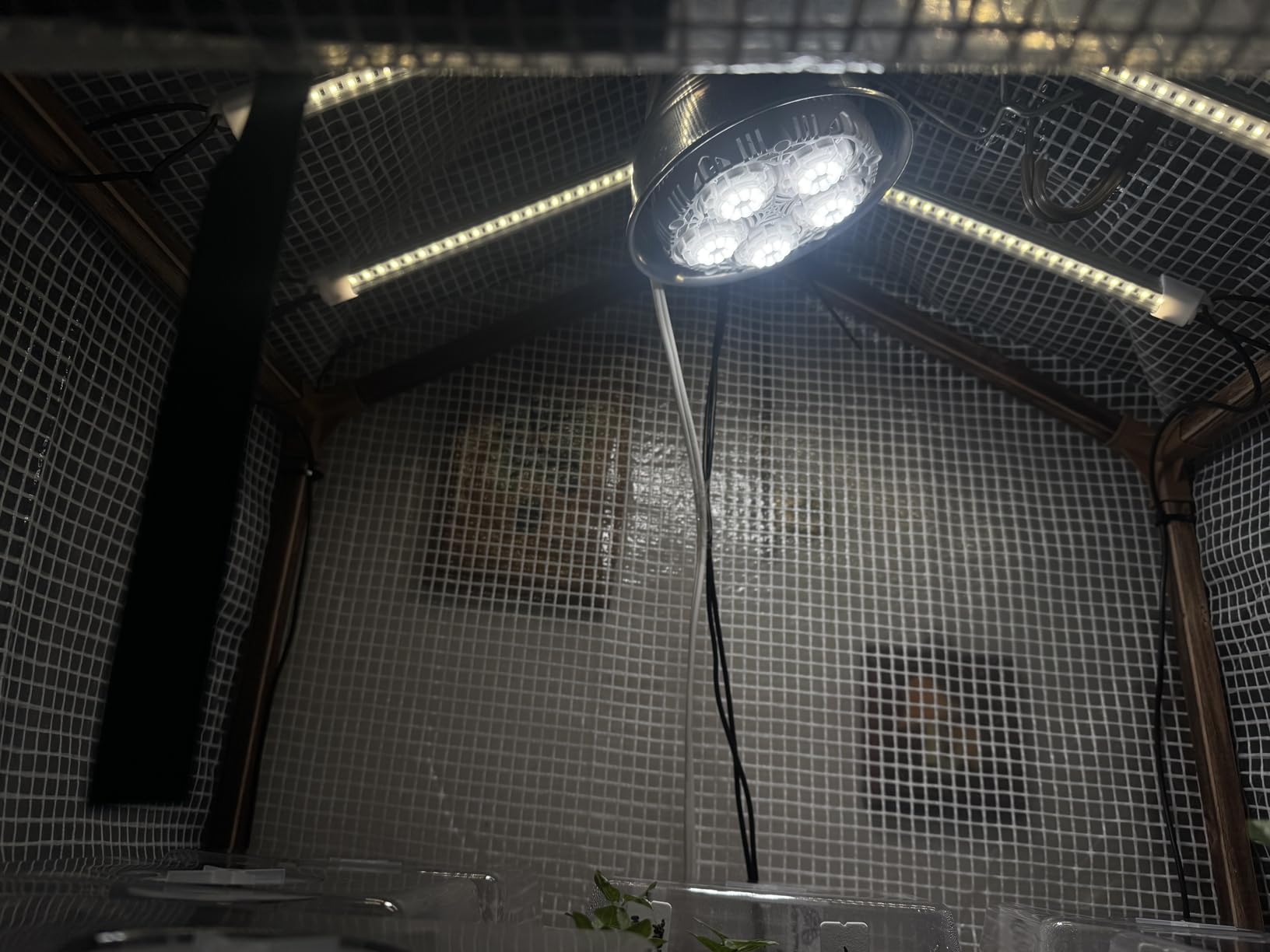 SANSI Grow Lights for Indoor Plants, Full Spectrum 36W Grow Light Bulbs (400 Watt Equiv) with Optical Lens for High PPFD, PPF 65.6 umol/s LED Energy Saving Plant Light for Indoor Growing Seed Starting customer photo 2