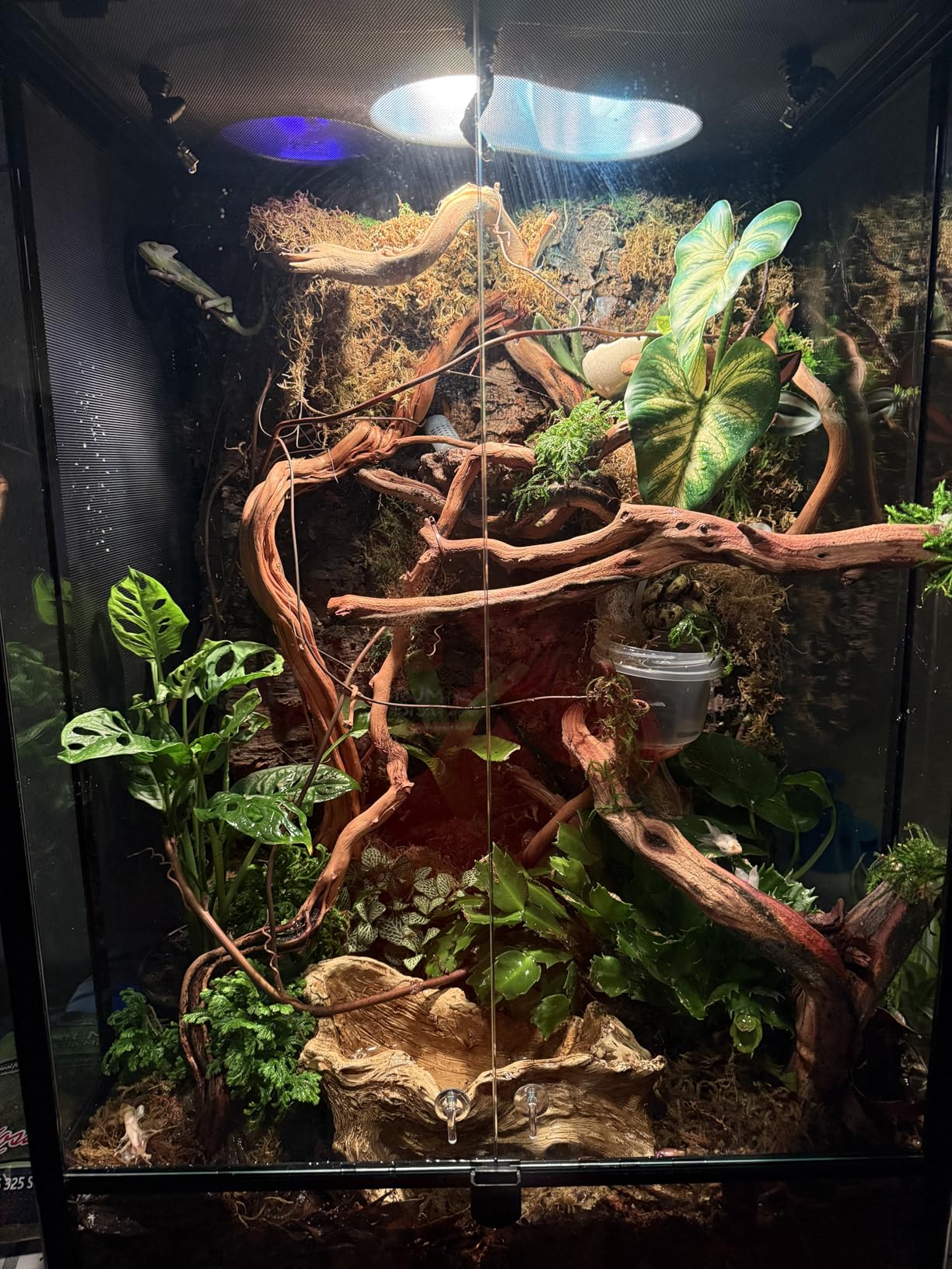 REPTI ZOO 24
