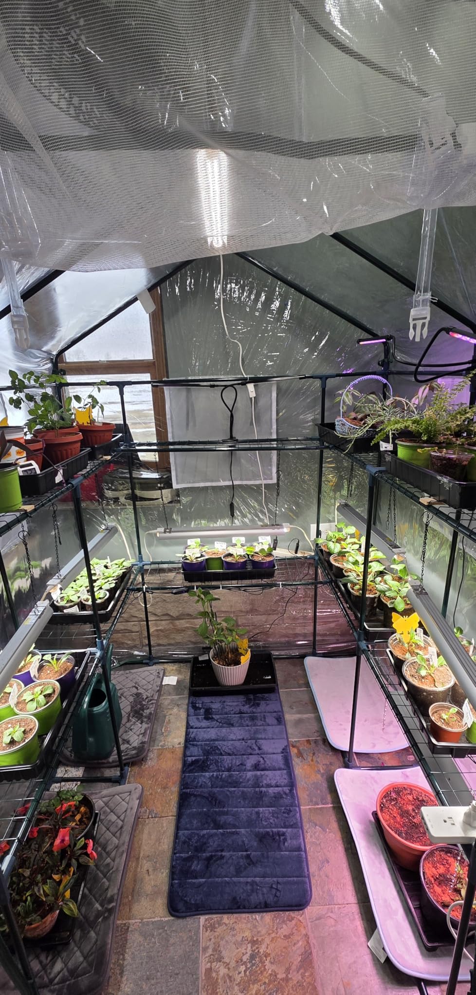 Barrina 4FT T8 Plant Grow Light, 252W (6 x 42W, 1400W Equivalent), Full Spectrum, LED Growing Lamp Fixture for Indoor Plant Growing, with ON/Off Switch & V-Shaped Reflector, Pinkish White, 6-Pack customer photo 1
