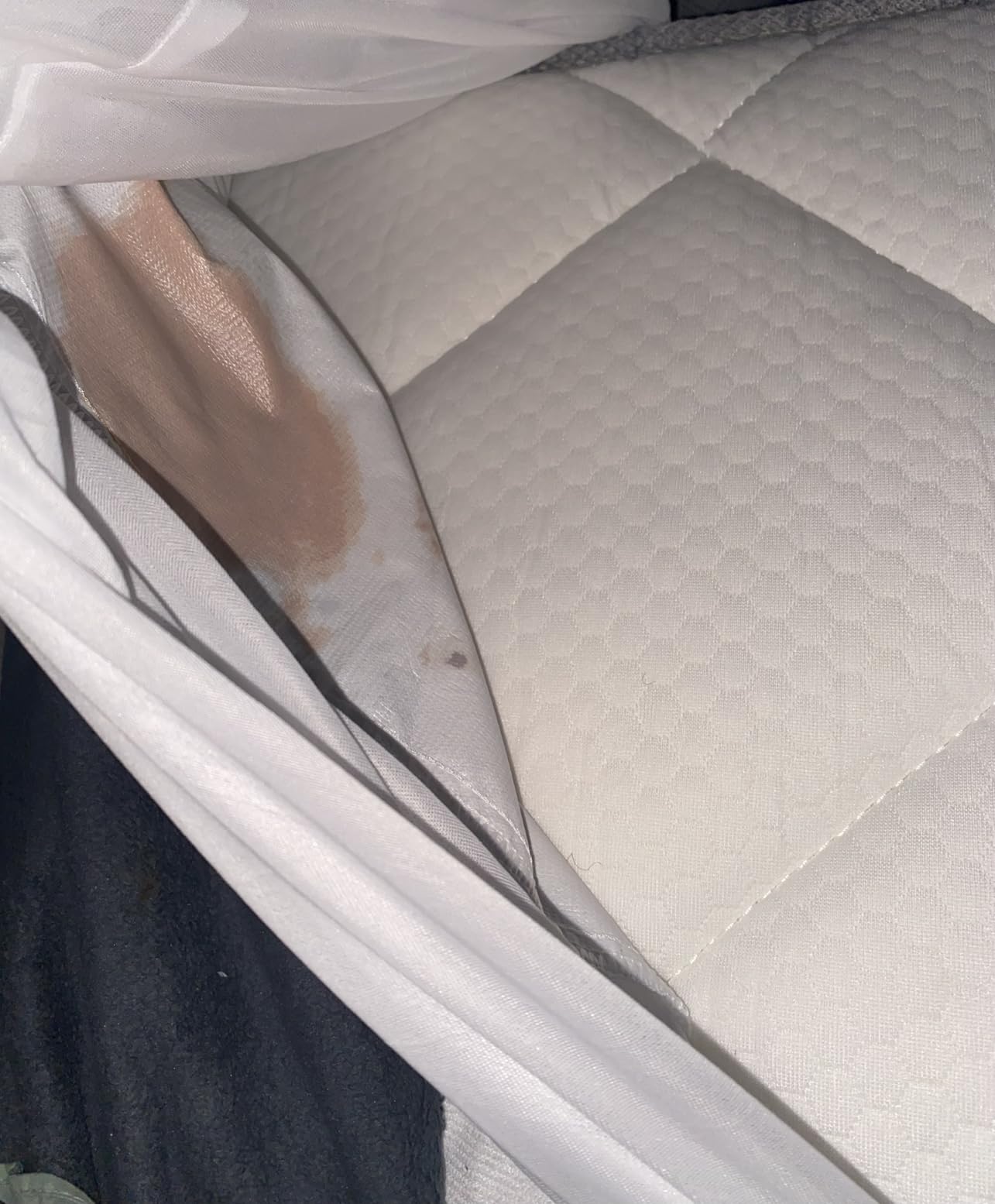 Queen Mattress Protector Waterproof Cover Absorbent Fitted Sheet up - 18'' Deep Pocket Mattress Cover Queen Size Bed Sheets, Terry Machine Wash Protection Mattress Protector customer photo 2