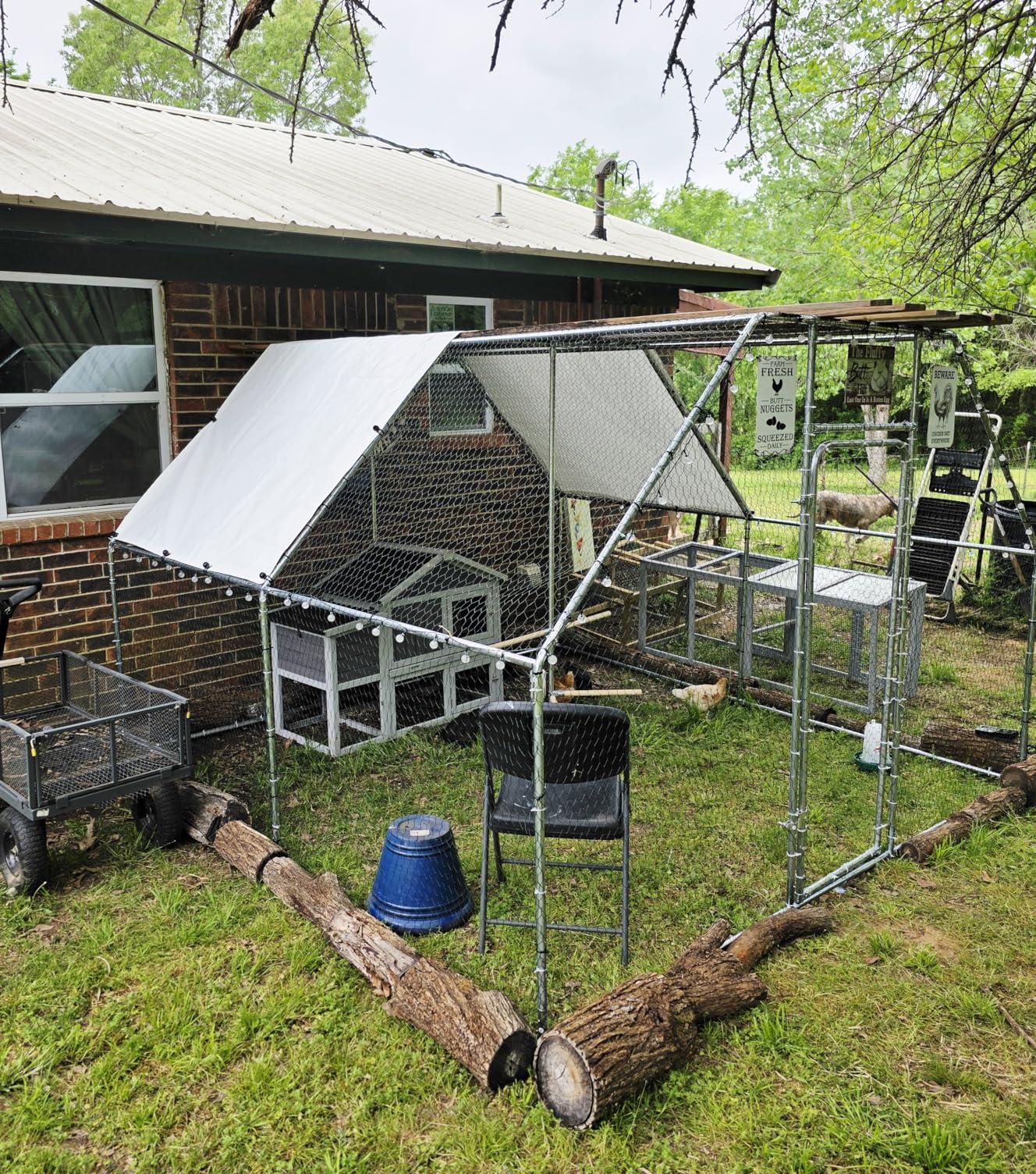 Chicken Coop Large Metal Chicken House/Pen with Climbing Frame for 15-20 Chickens, Outdoor Walk-in Poultry Cage Flat Shape for Ducks, Rabbits, Dogs Etc customer photo 1
