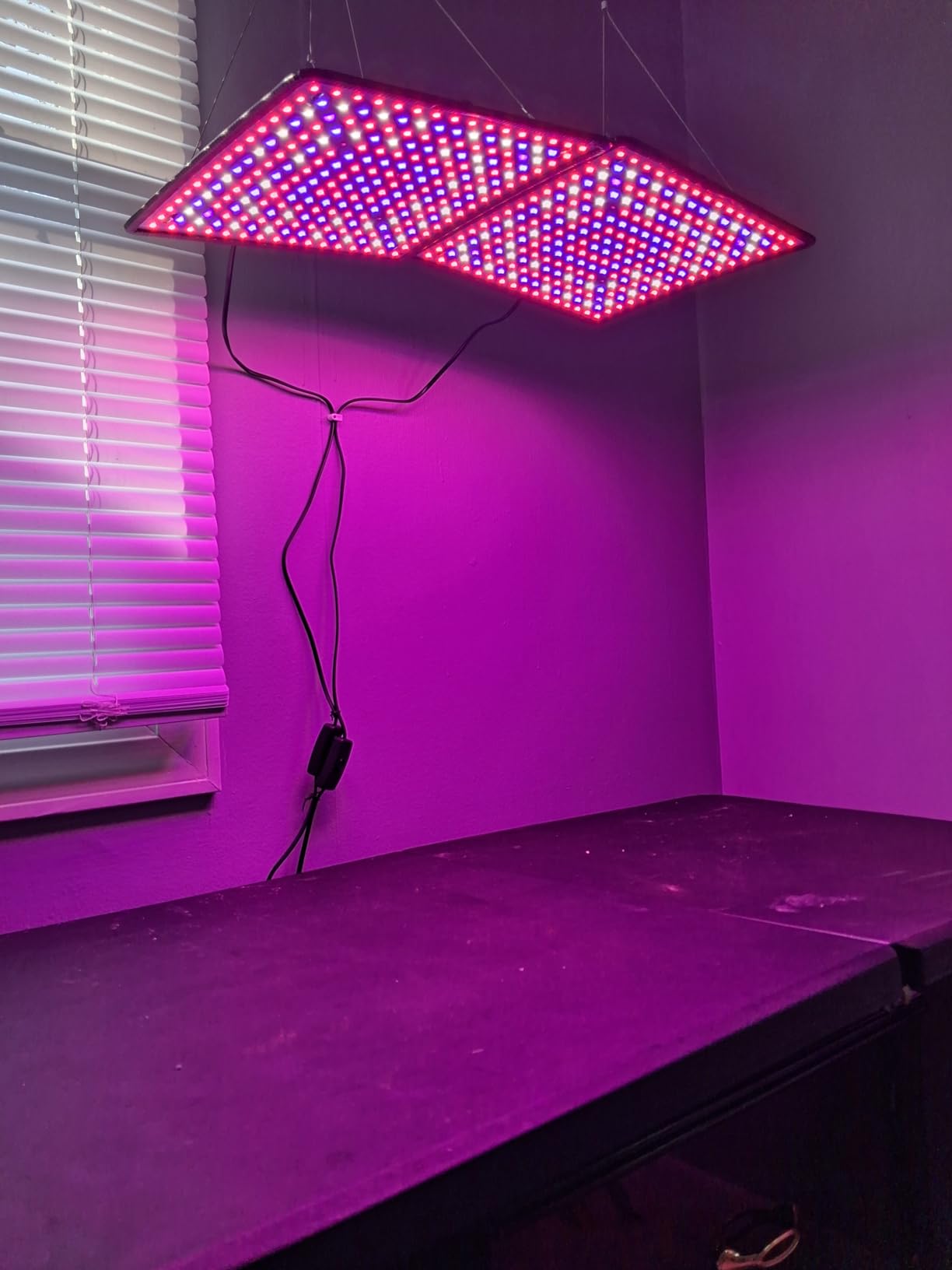2 Pack LED Grow Light Panel 200W Lamp for Indoor Plants, Full Spectrum with White Blue Red UV IR LEDs for 4x4ft Coverage Grow Tent Greenhouse Veg and Bloom Seedlings Hydroponics customer photo 1