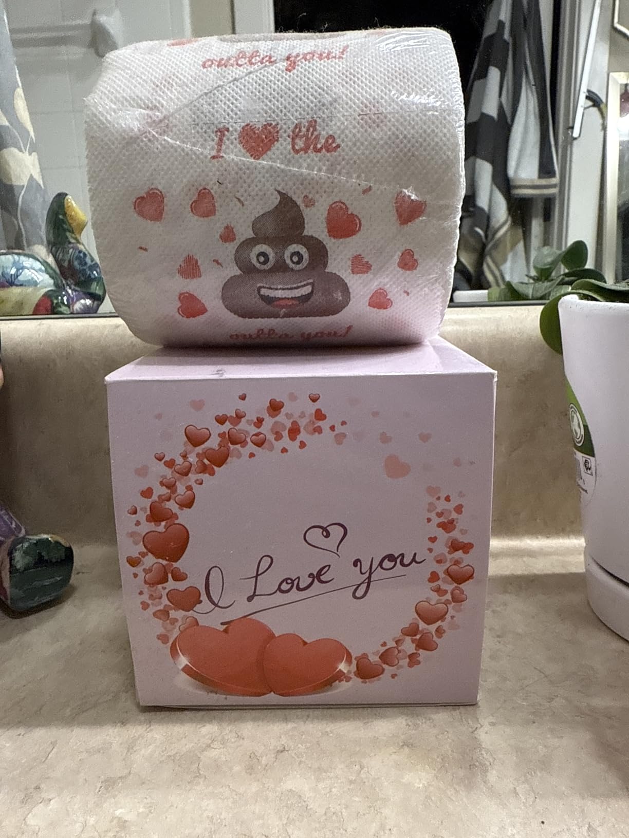 Valentines Day Gifts for Him/Her, Romantic Novelty Gifts Toilet Paper, Funny Gag Gifts for Adults Men Women Boyfriend Girlfriend, Valentines Day Decor for Party Supplies Christmas Stocking Stuffers - Customer Photo 1