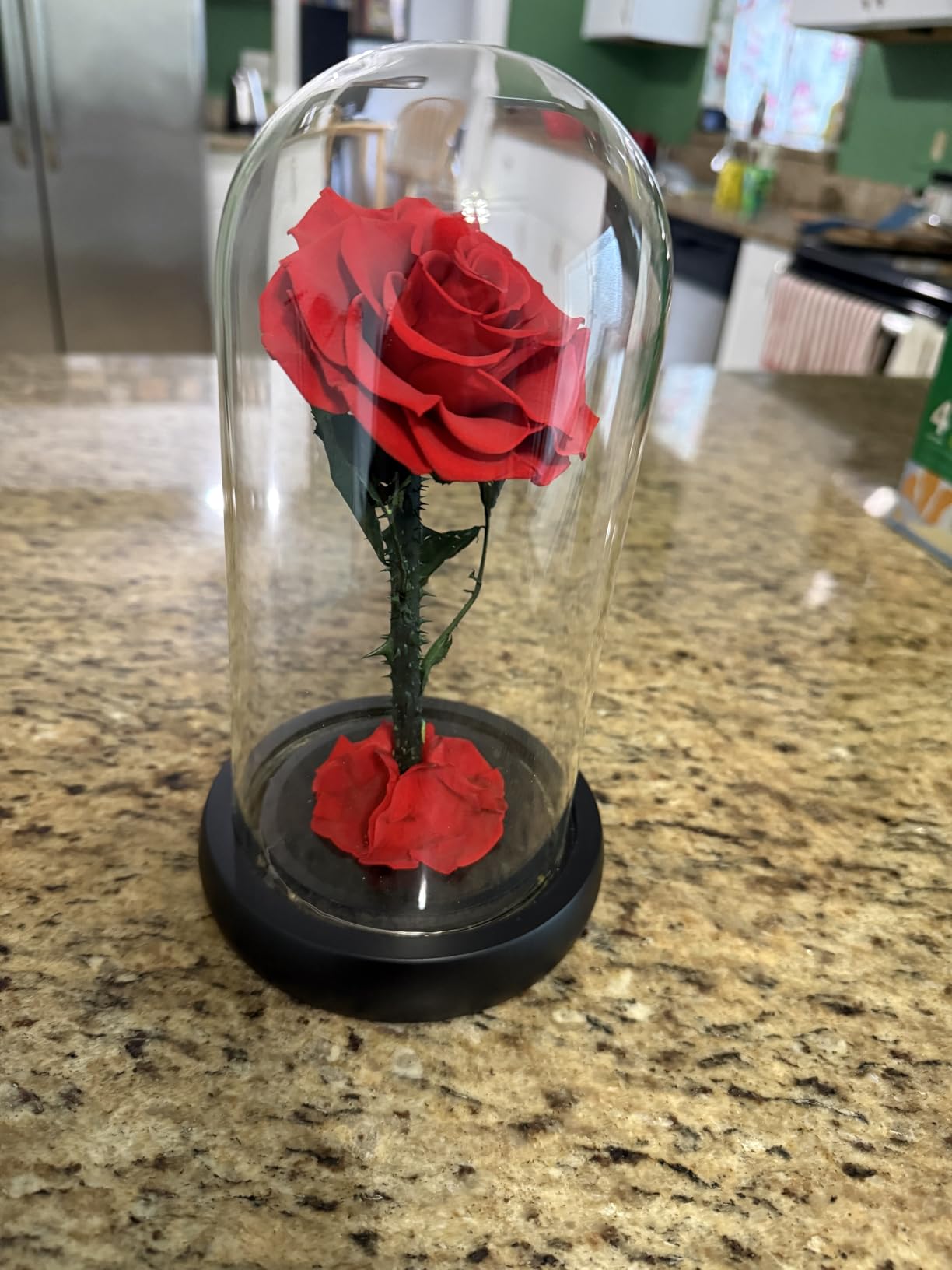 Valentines Day Gifts for Her,Valentines Gifts for Women,Flowers for Delivery Prime,Flower Galaxy Artificial Flower Light Up Rose in A Glass Dome,Anniversary Mothers Day, Birthday Gifts Customer Review Valentines Day Gifts for Her,Valentines Gifts for Women,Flowers for Delivery Prime,Flower Galaxy Artificial Flower Light Up Rose in A Glass Dome,Anniversary Mothers Day, Birthday Gifts - Customer Photo 1