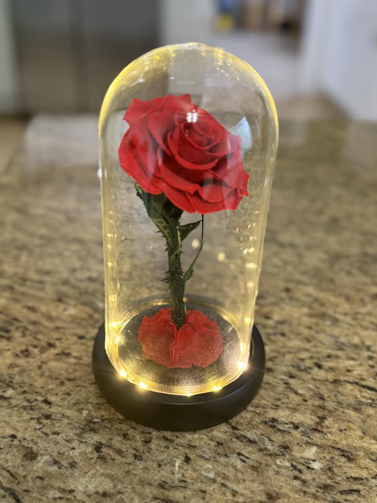 Valentines Day Gifts for Her,Valentines Gifts for Women,Flowers for Delivery Prime,Flower Galaxy Artificial Flower Light Up Rose in A Glass Dome,Anniversary Mothers Day, Birthday Gifts Customer Review Valentines Day Gifts for Her,Valentines Gifts for Women,Flowers for Delivery Prime,Flower Galaxy Artificial Flower Light Up Rose in A Glass Dome,Anniversary Mothers Day, Birthday Gifts - Customer Photo 2