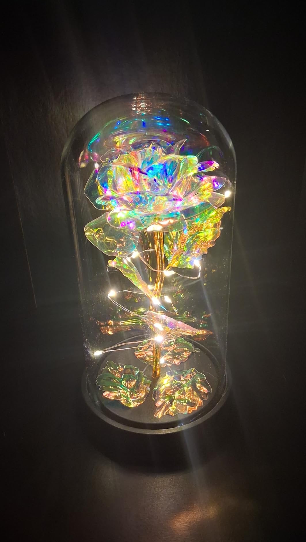 Otlonpe Preserved Forever Valentines Day Flower Gifts for Her, Glass Light Up Rose Gifts for Women Mom Grandma Girlfriend Wife Sister, Valentines Mothers Day Christmas Birthday Womens Gift (Colorful) Customer Review Otlonpe Preserved Forever Valentines Day Flower Gifts for Her, Glass Light Up Rose Gifts for Women Mom Grandma Girlfriend Wife Sister, Valentines Mothers Day Christmas Birthday Womens Gift (Colorful) - Customer Photo 2
