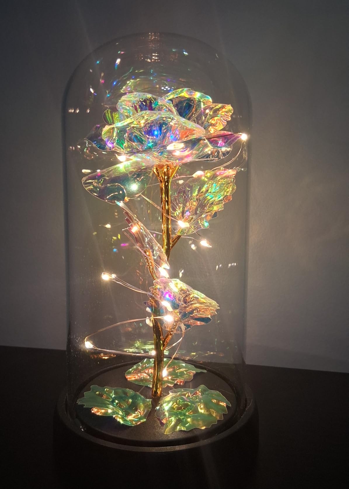 Otlonpe Preserved Forever Valentines Day Flower Gifts for Her, Glass Light Up Rose Gifts for Women Mom Grandma Girlfriend Wife Sister, Valentines Mothers Day Christmas Birthday Womens Gift (Colorful) Customer Review Otlonpe Preserved Forever Valentines Day Flower Gifts for Her, Glass Light Up Rose Gifts for Women Mom Grandma Girlfriend Wife Sister, Valentines Mothers Day Christmas Birthday Womens Gift (Colorful) - Customer Photo 5