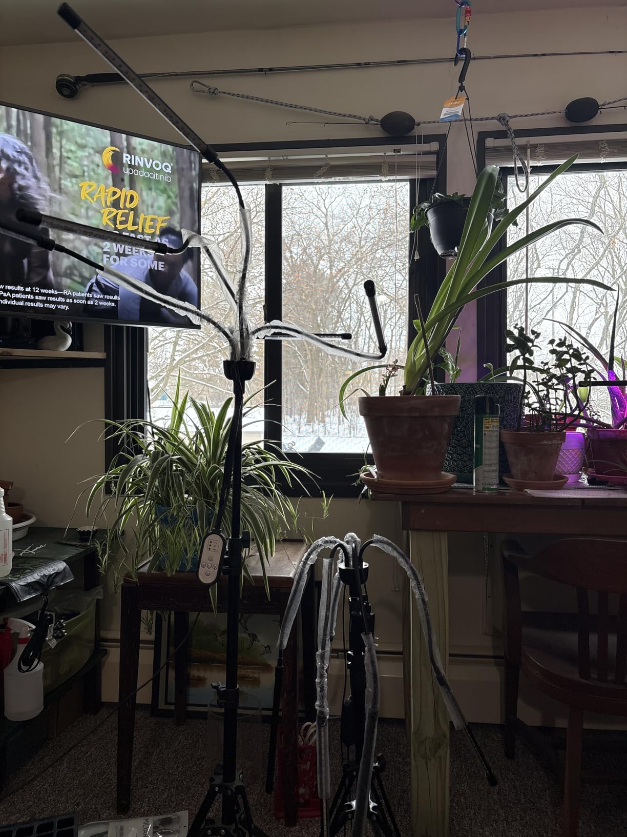 Grow Lights for Indoor Plants, 5 Heads Red Blue White Full Spectrum Plant Light with 15-60