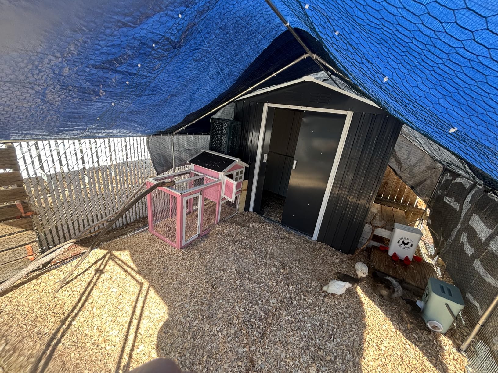 PawHut Large Chicken Coop Metal Chicken Run with Waterproof and Anti-UV Cover, Spire Shaped Walk in Fence Cage Hen House for Outdoor and Yard Farm Use customer photo 1