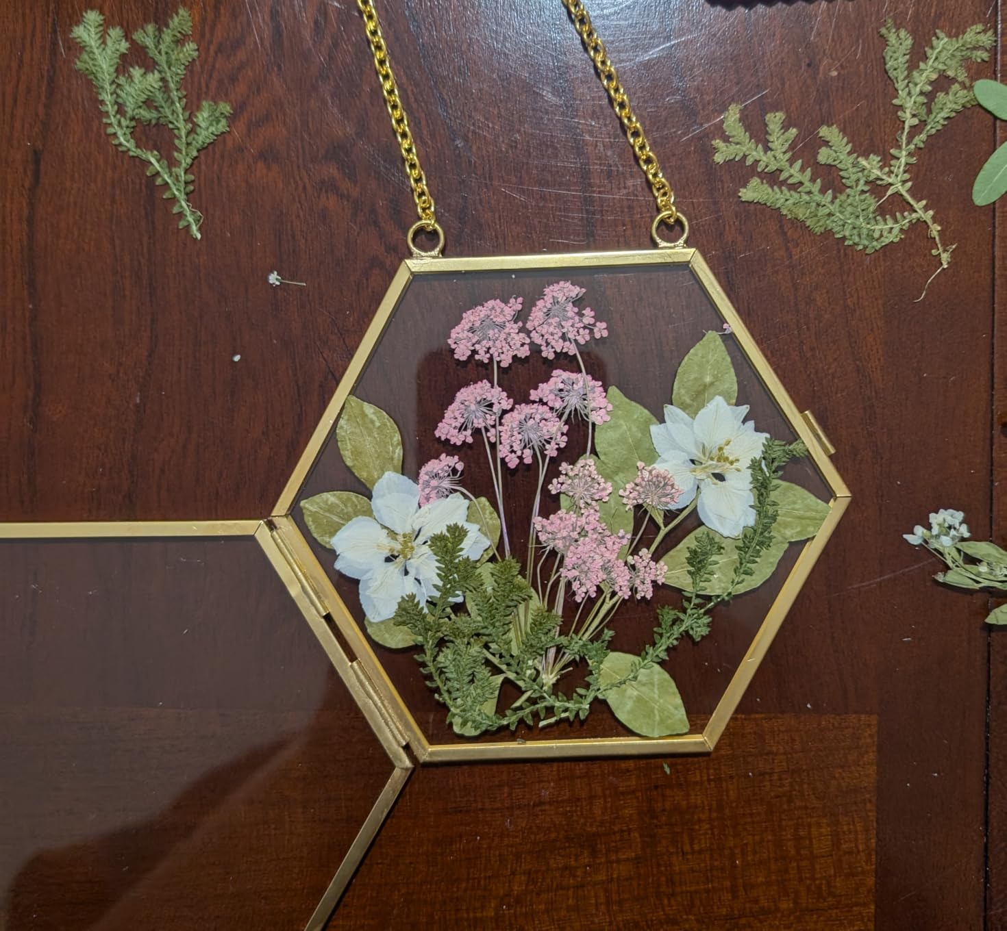 Relaxing Garden Pressed Flower Craft Kit for Adults & Women, DIY Floating Double Glass Frame Kit with Real Dried Flowers, Handmade Gift Art Project for Home Décor, Keepsake & Creative Crafts Customer Review Relaxing Garden Pressed Flower Craft Kit for Adults & Women, DIY Floating Double Glass Frame Kit with Real Dried Flowers, Handmade Gift Art Project for Home Décor, Keepsake & Creative Crafts - Customer Photo 1