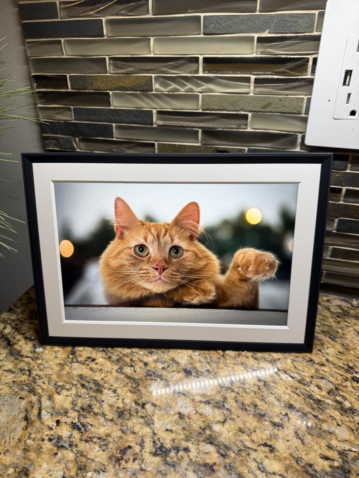 Aura Carver HD WiFi Digital Picture Frame, 10.1