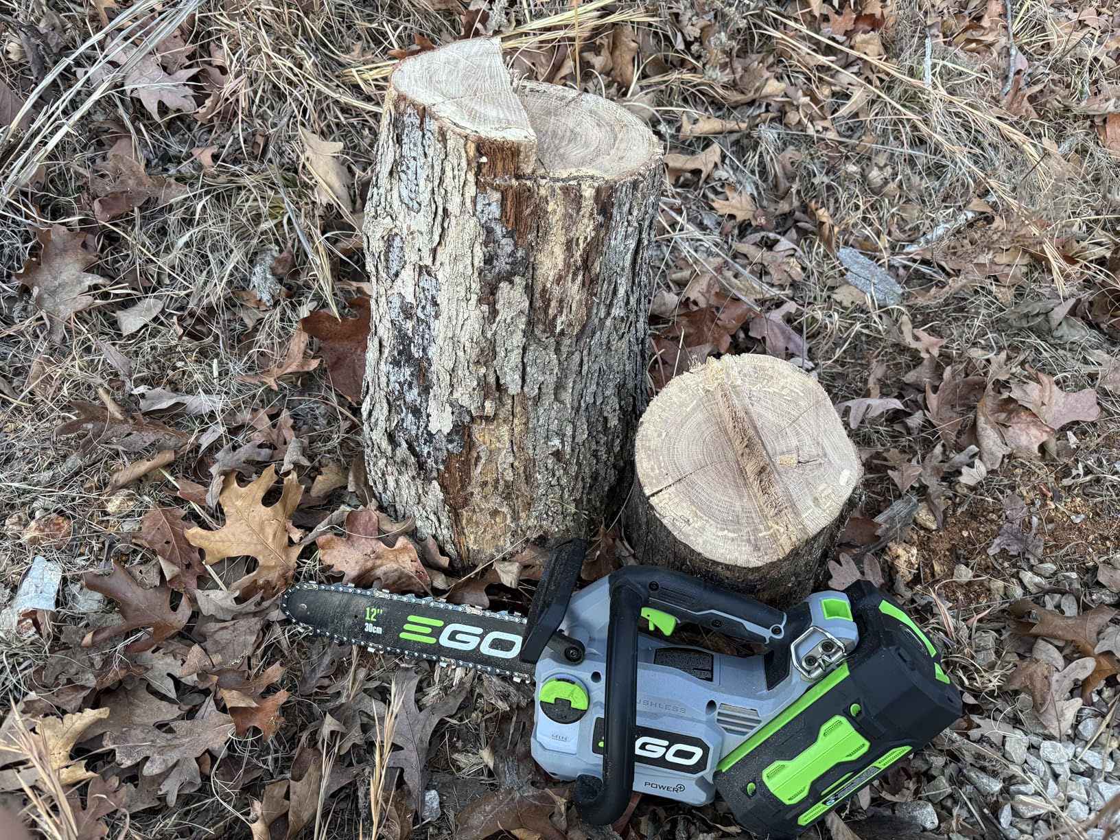 EGO POWER+ Chain Saw, 16