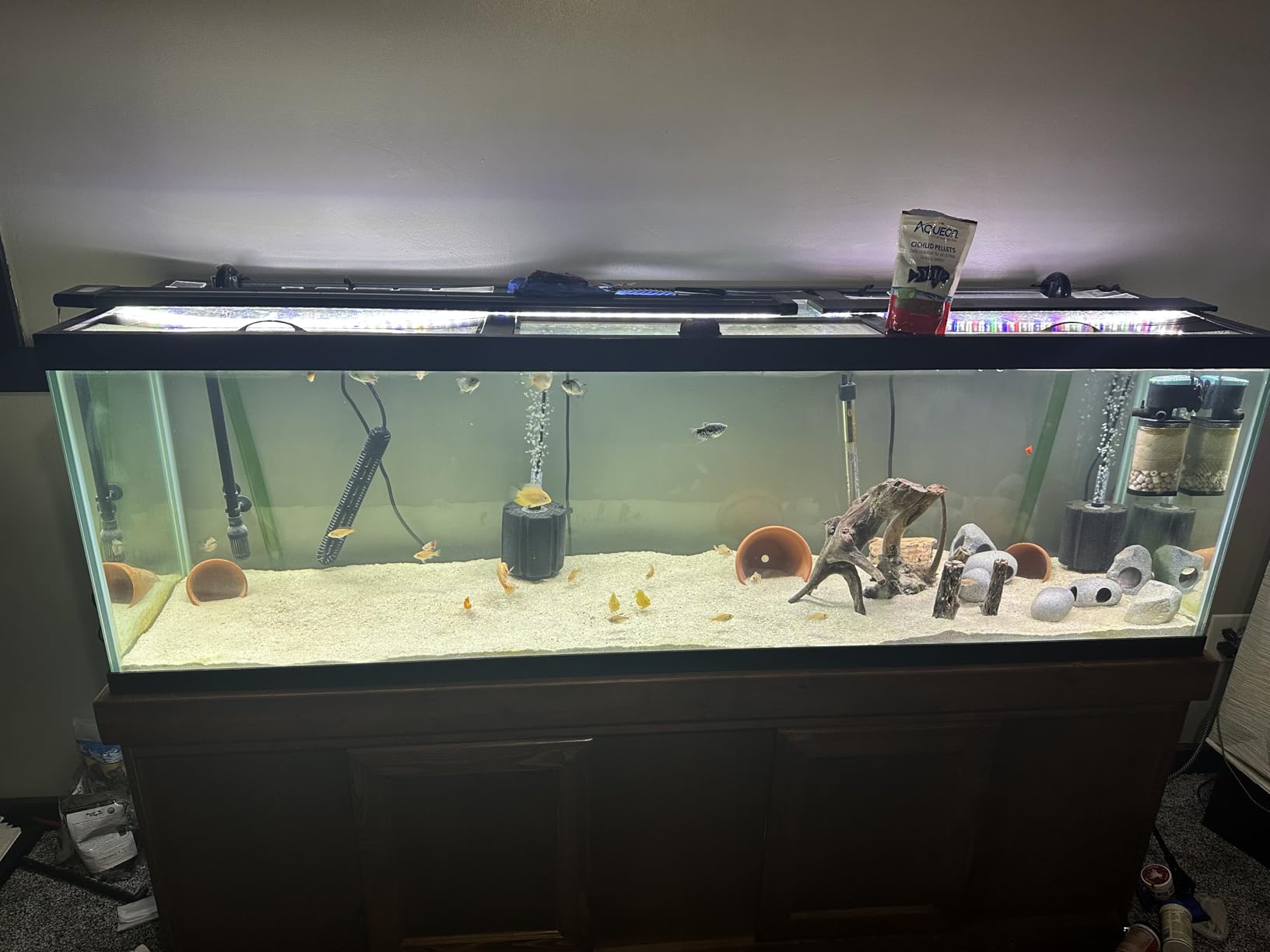 HiTauing Aquarium Heater, 300W Fish Tank Heater with LED Digital Display & 5 Safety Protection, Submersible Aquarium Heater with 2 Suction Cup and 8.2Ft Cord for 40-75 Gallon Fish Tank customer photo 2