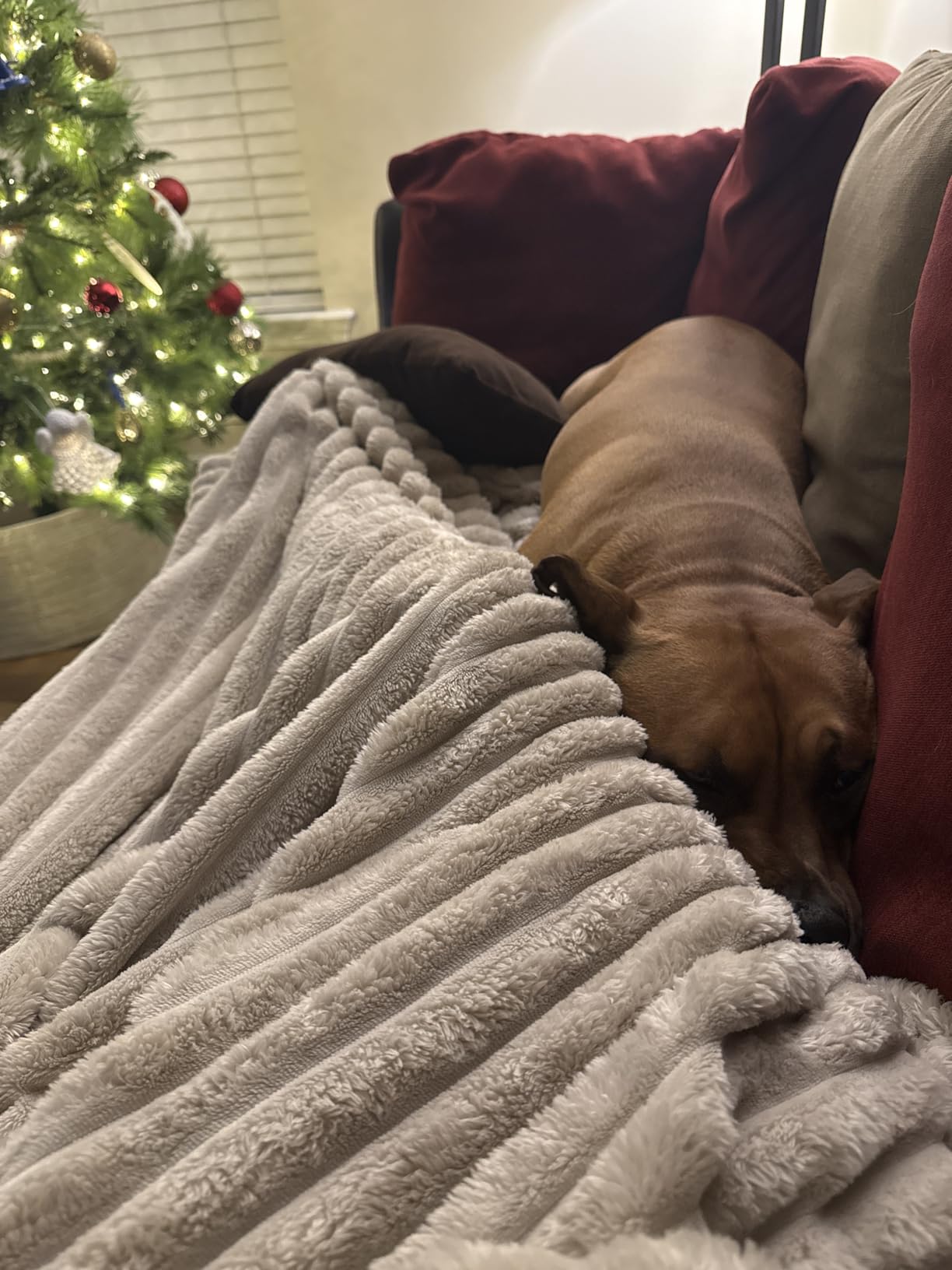 Bedsure Throw Blanket customer photo 1