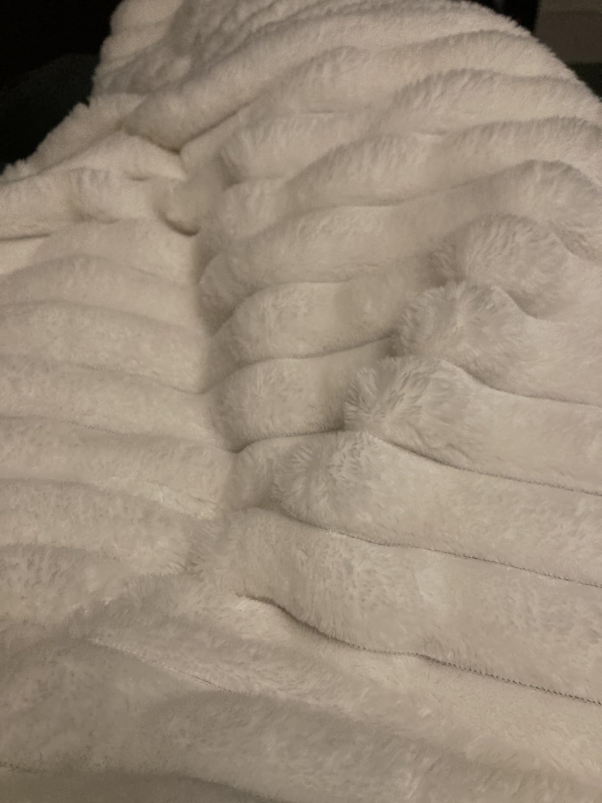 Bedsure GentleSoft White Throw Blanket for Couch - Cozy Fleece Throw Blanket for Women Girls, Valentines Day Gifts for Her Him, Birthday Gifts for Women, Room Home Boho Decor, Off White, 50x60 Inches - Customer Photo 2