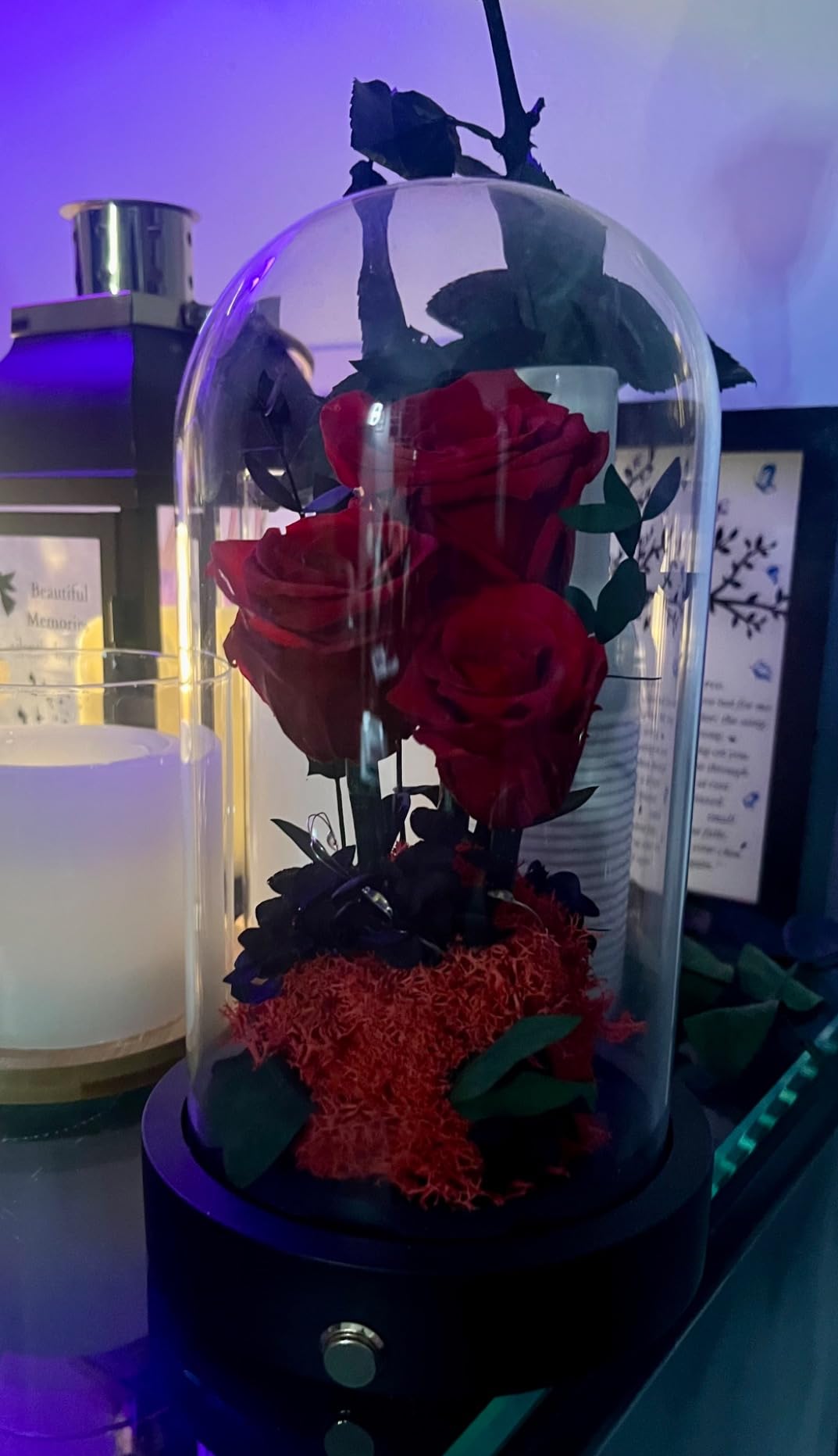 Valentines Day Flowers Roses Gifts for Her, Forever Real Preserved Roses in Glass Dome, Valentines Day Anniversary Birthday Gifts for Wife Girlfriend Women Mom Customer Review Valentines Day Flowers Roses Gifts for Her, Forever Real Preserved Roses in Glass Dome, Valentines Day Anniversary Birthday Gifts for Wife Girlfriend Women Mom - Customer Photo 1