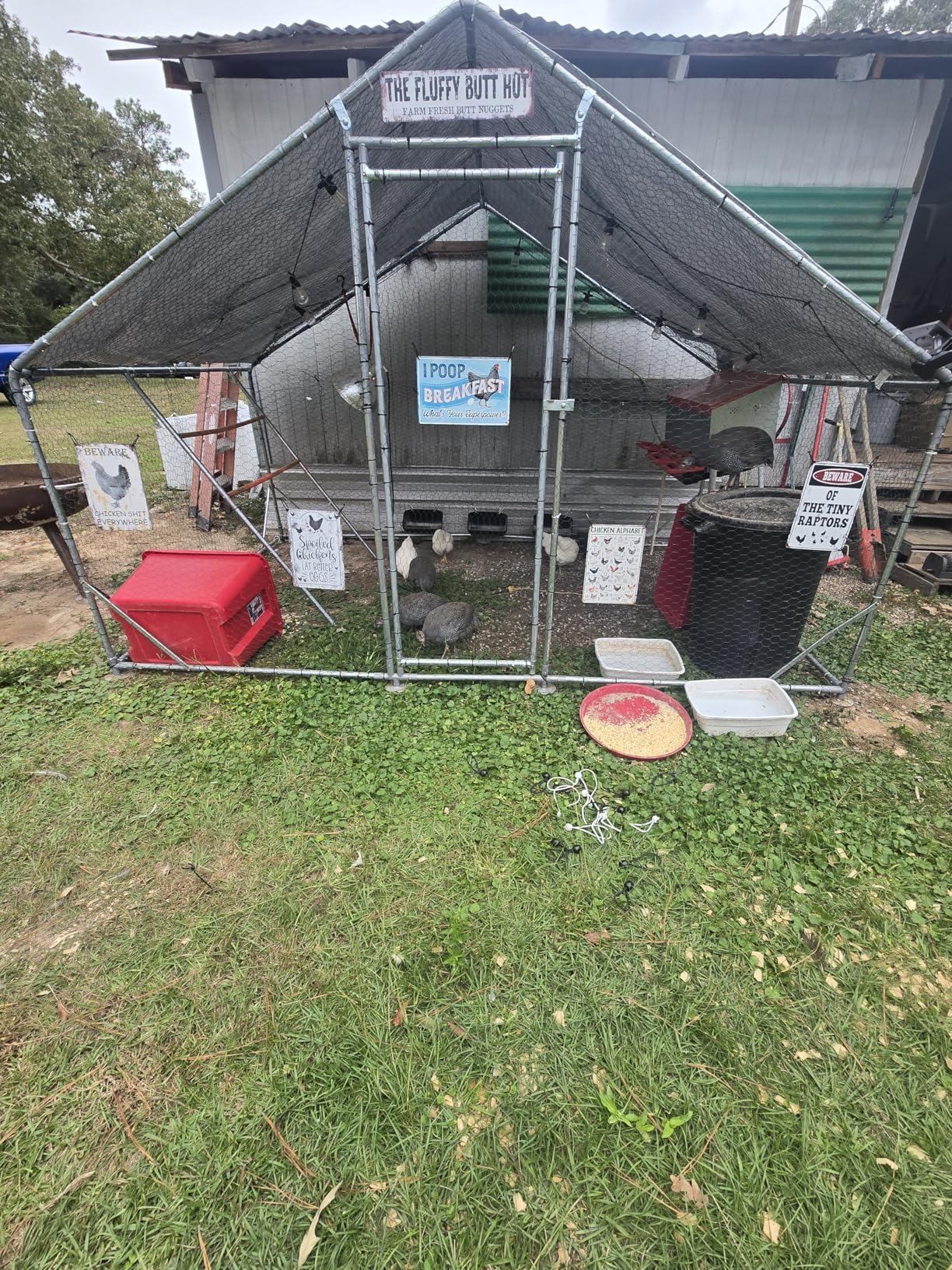 Chicken Coop 9.8x6.5x6.5ft Large Metal Chicken Run for 6/10 Chickens Poultry Cage with Waterproof Cover for Duck Walk-in Chicken Pen for Yard customer photo 2