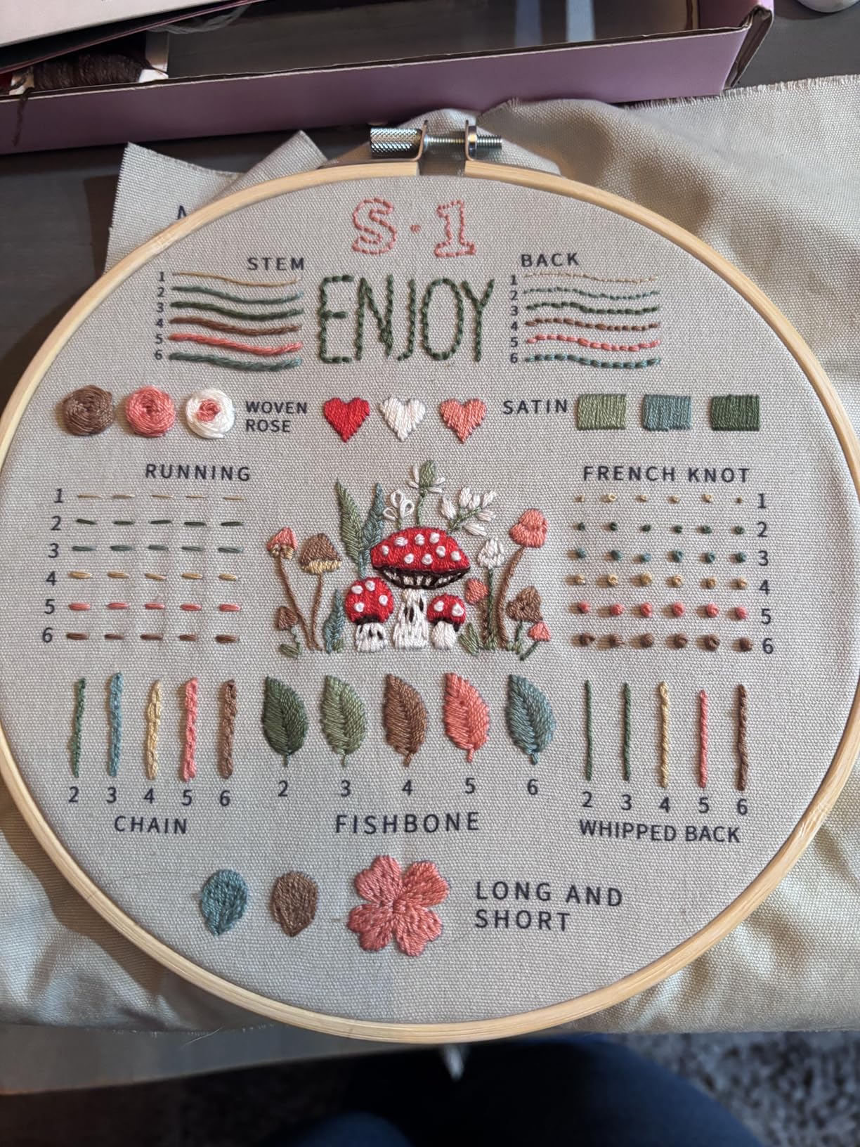 ETSPIL Embroidery Kit for Adult Beginners, 3-Pack 33-Stitch Practice Samplers, Pre-Stamped Patterns, 7.8-Inch Hoop, Threads & Needles, Step-by-Step Guide & Video, DIY Needlework Craft Gift for Women Customer Review ETSPIL Embroidery Kit for Adult Beginners, 3-Pack 33-Stitch Practice Samplers, Pre-Stamped Patterns, 7.8-Inch Hoop, Threads & Needles, Step-by-Step Guide & Video, DIY Needlework Craft Gift for Women - Customer Photo 1