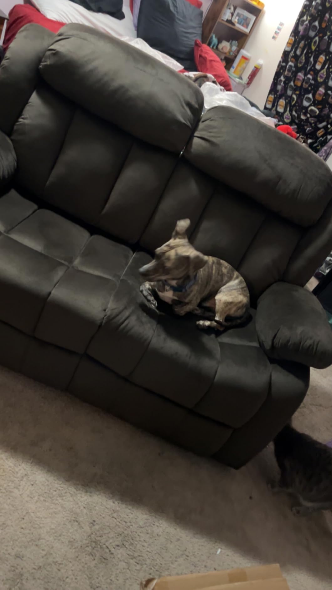 EBELLO Wall Hugger Reclining Loveseat, Classic and 2 Seat Recliner Couch with Overstuffed Arms and Back for Living Room, Bedroom, Daul Recliner Loveseat, Brown customer photo 2