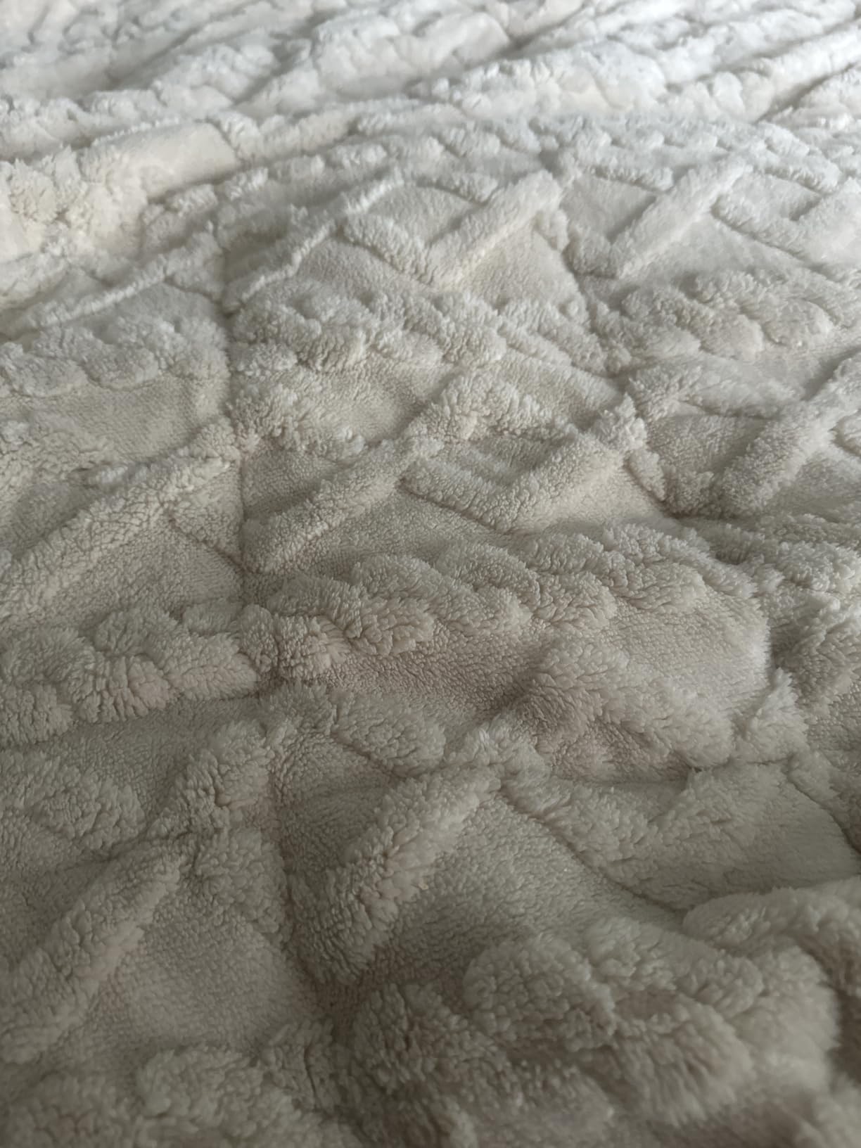 Weighted Blanket Queen Size 15lbs, Classy Soft Jacquard Sherpa Weighted Blankets for Sleep Natural and Calming, Fluffy Cozy Sofa Bed Blanket for Winter, Beige, 60 x 80 inches customer photo 1