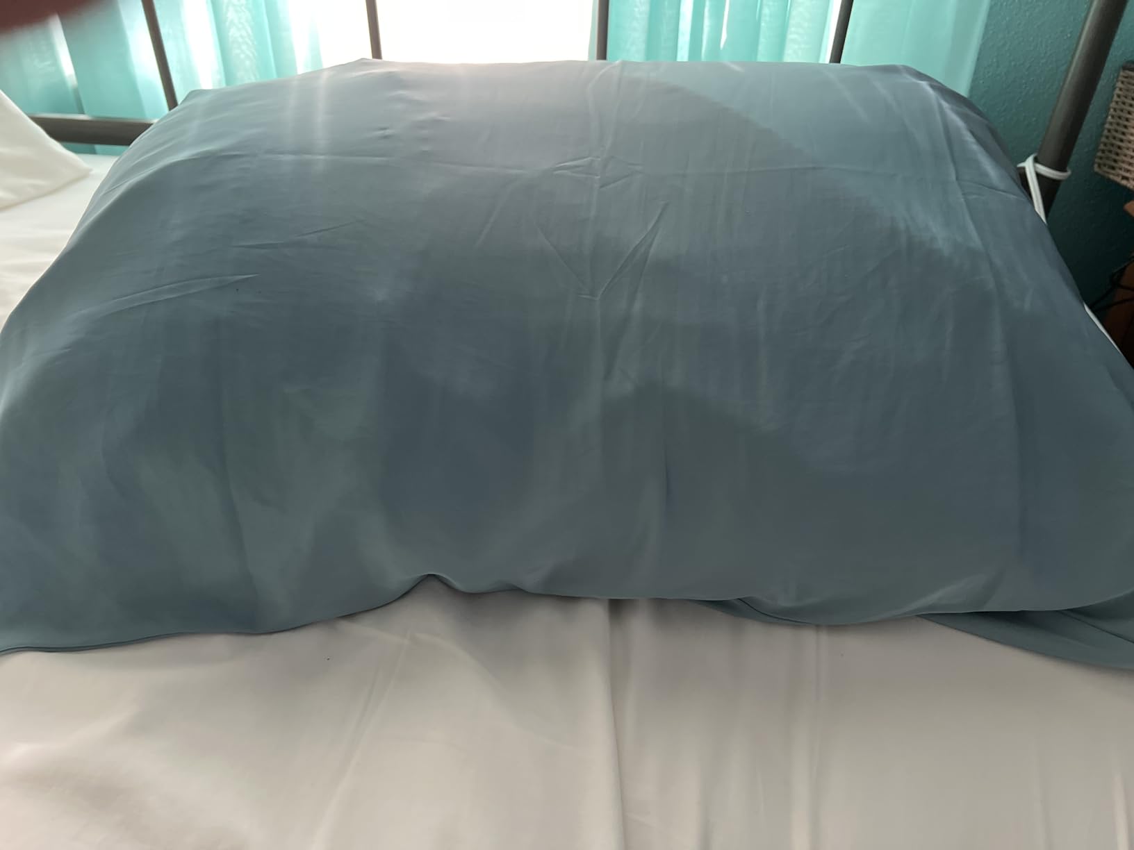 INFIIXSO Mulberry Silk Pillowcase for Hair and Skin, Silk Pillow Cases Standard Size with Hidden Zipper 20x26 Inches, Ultra Smooth and Soft Cooling Pillow Cases for Hot Sleepers(Light Grey, 1 Pack) customer photo 1