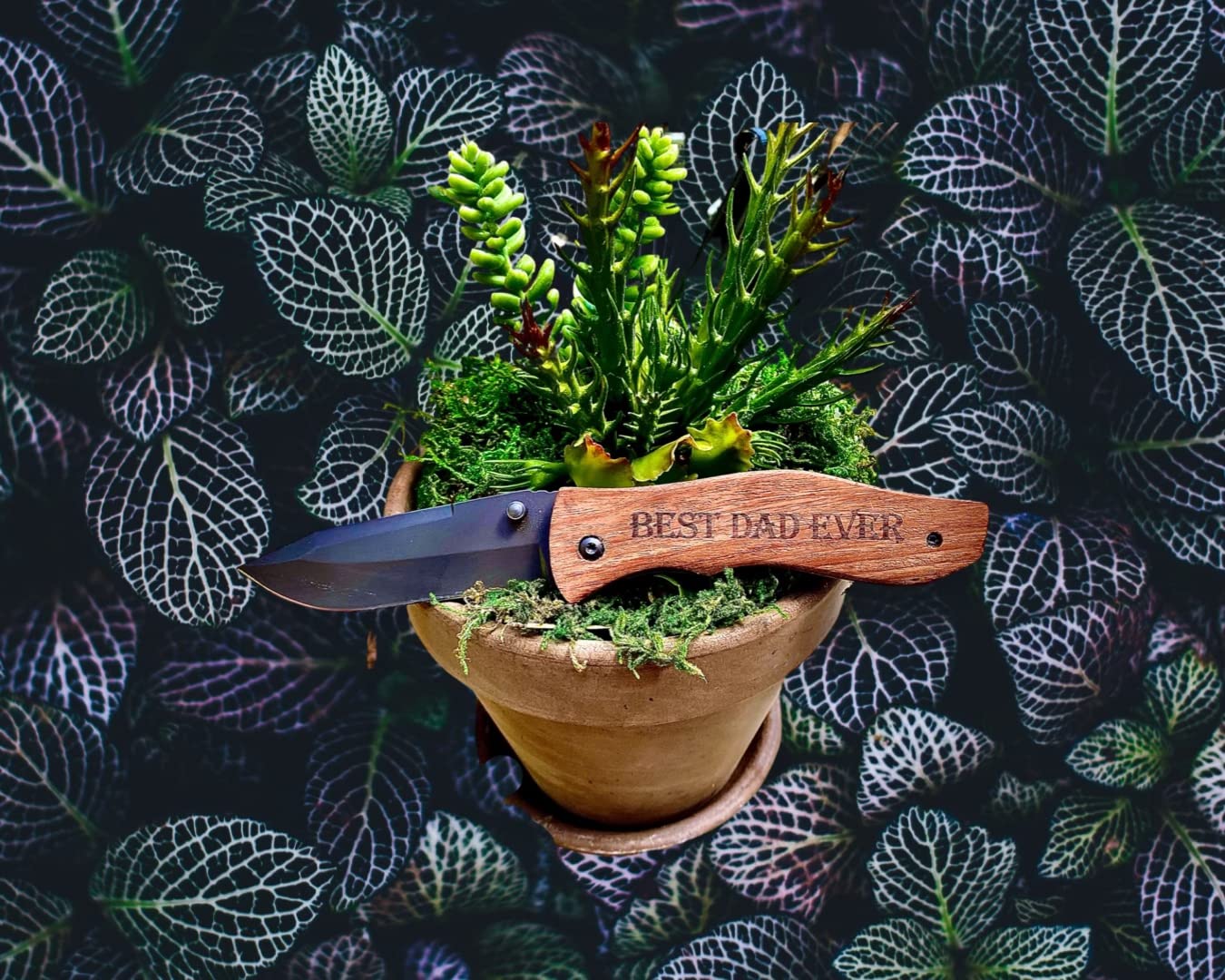 Gifts for Him Husband Men Valentines Day, Anniversary Birthday Gifts ideas for Boyfriend, Engraved Pocket Knife, Wooden Handle Folding Knife with Wood Box, Unique Outdoor Camping Hunting Fishing Tool Customer Review Gifts for Him Husband Men Valentines Day, Anniversary Birthday Gifts ideas for Boyfriend, Engraved Pocket Knife, Wooden Handle Folding Knife with Wood Box, Unique Outdoor Camping Hunting Fishing Tool - Customer Photo 2