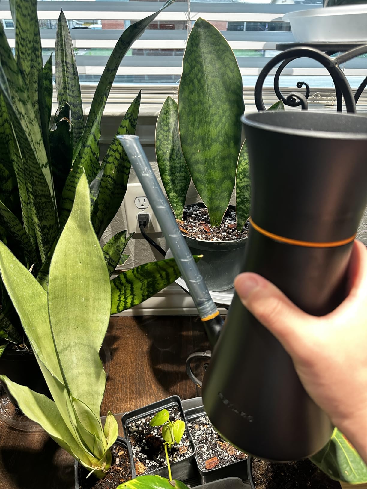 Fiskars Indoor Watering Can, Long Reach Spout for Precision Hydration, 40 oz customer photo 1