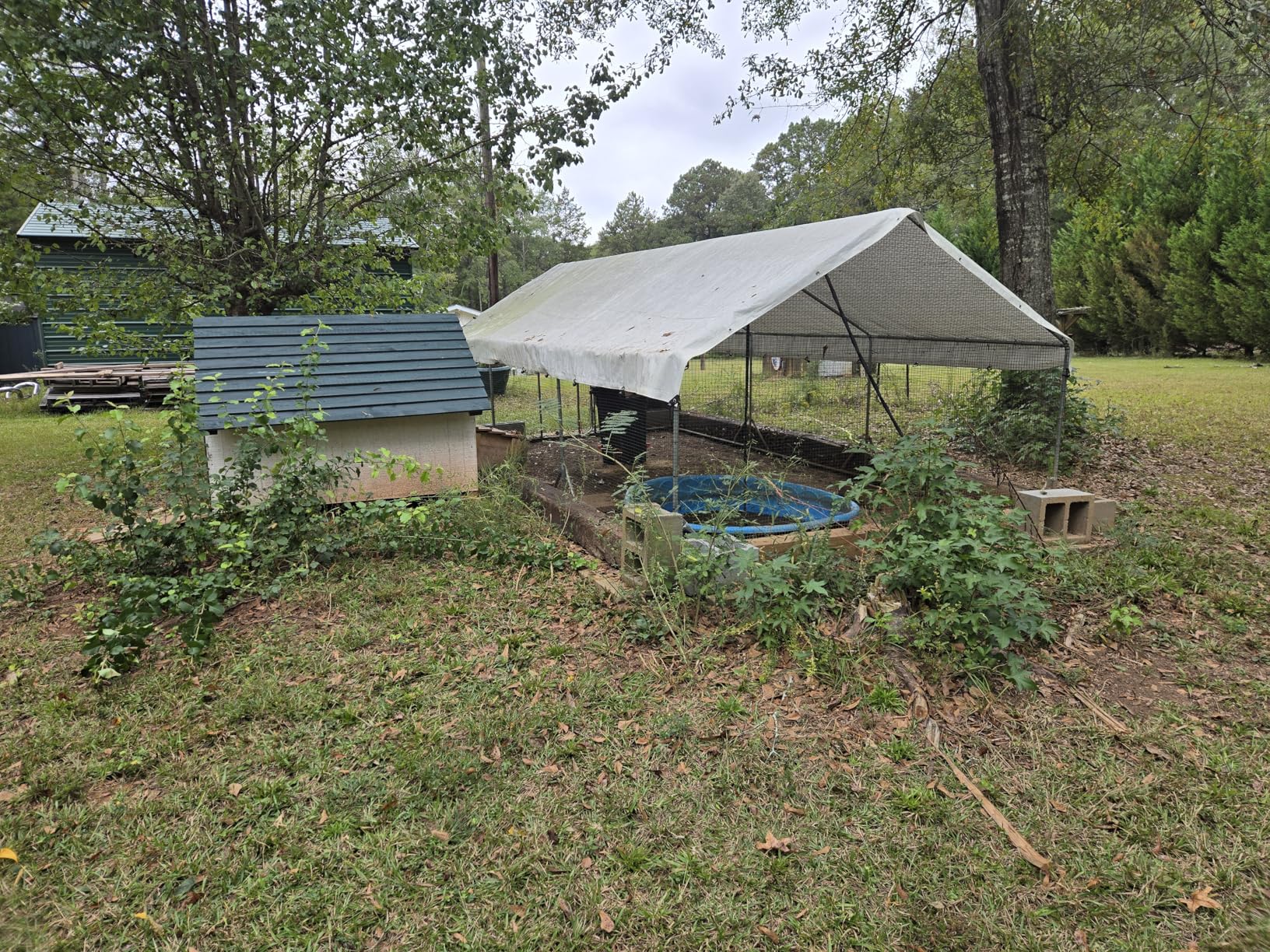 Quictent Large Metal Chicken Coop Run for 30+ Poultry with Galvanized Hardware Cloth and Waterproof Roof Cover, Outdoor Walk-in Cage Peak Hen House for Yard Farm customer photo 1