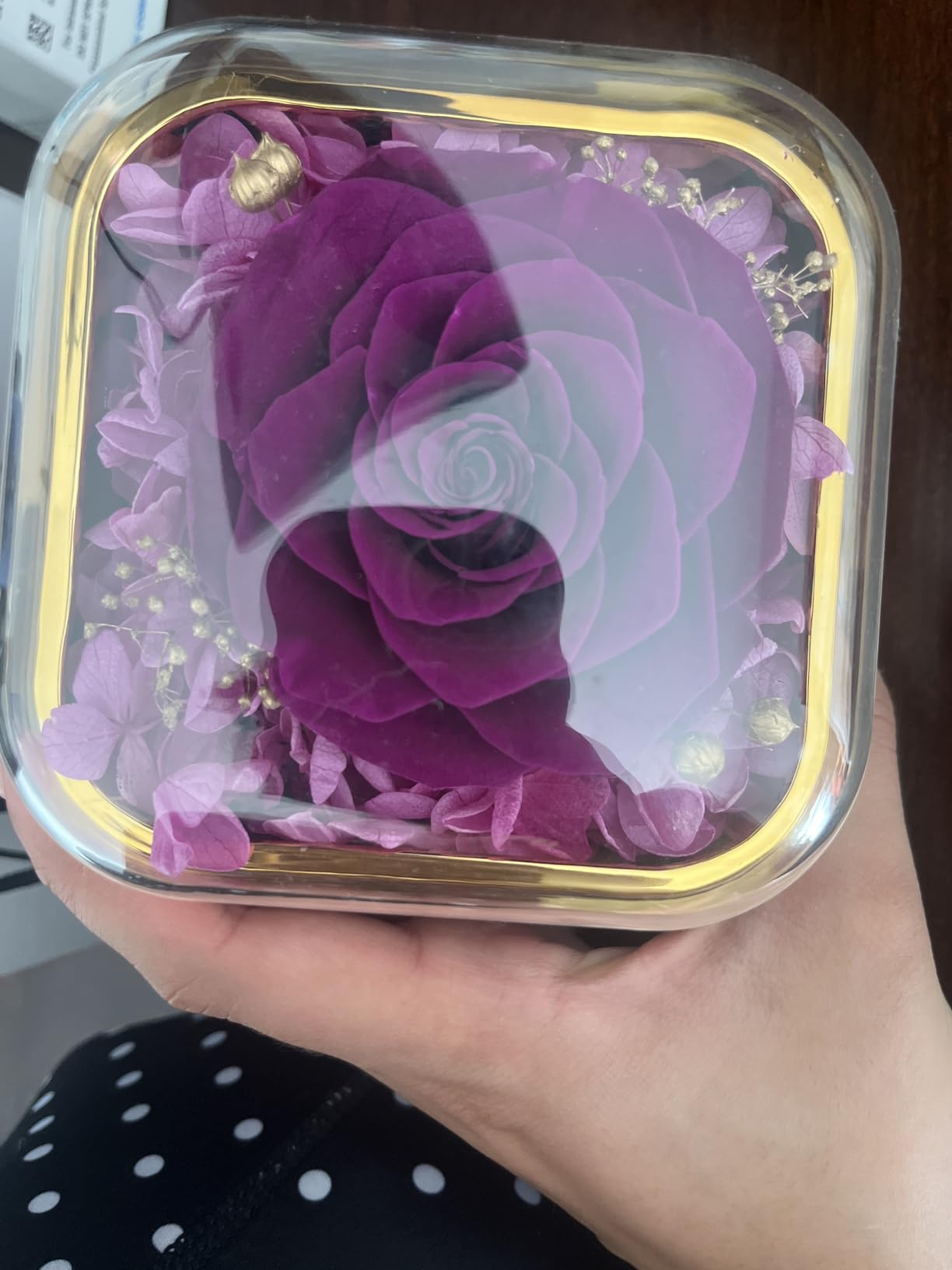 Beferr Valentines Day Gifts for Her Preserved Real Rose with Necklace Eternal Roses Fresh Flowers for Delivery Prime Birthday Anniversary Purple Gifts for Women Mom Wife Daughter Grandma Girlfriend Customer Review Beferr Valentines Day Gifts for Her Preserved Real Rose with Necklace Eternal Roses Fresh Flowers for Delivery Prime Birthday Anniversary Purple Gifts for Women Mom Wife Daughter Grandma Girlfriend - Customer Photo 1