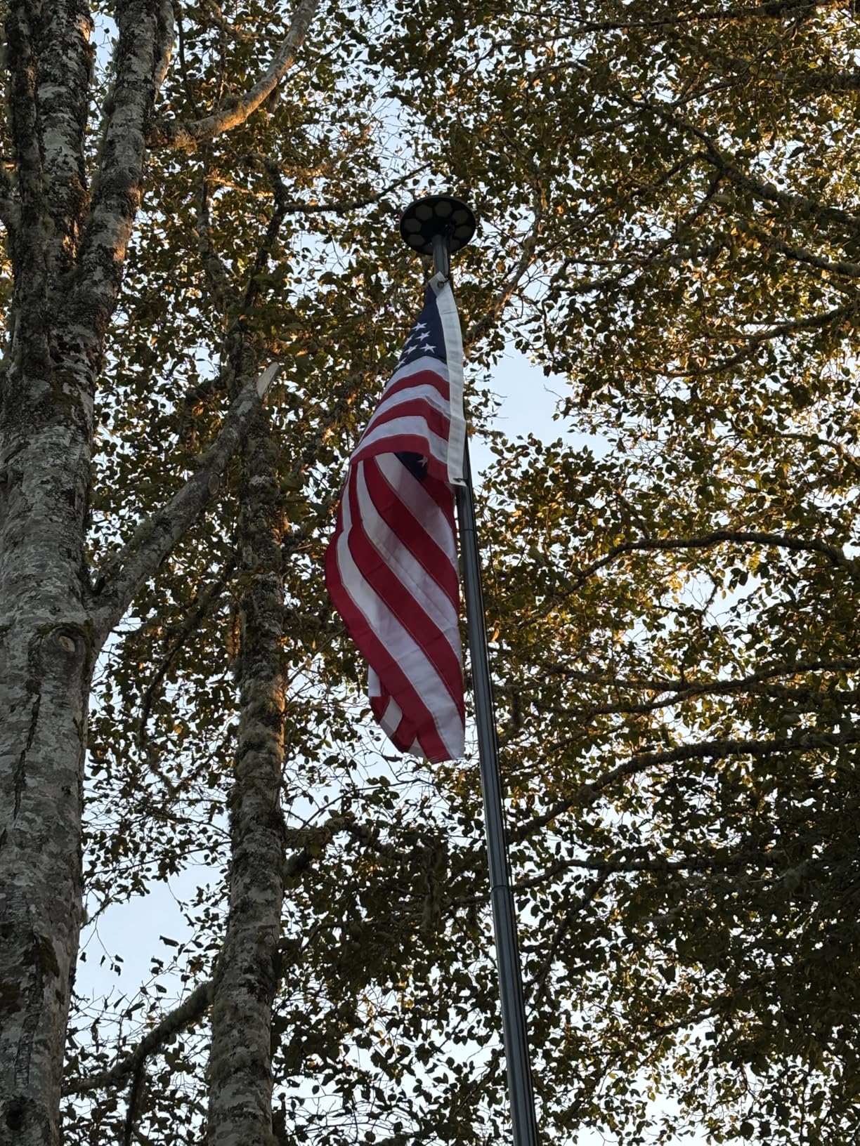 Heavy Duty Flag Pole - 25 FT 12 Gauge Extra Thick Aluminum Flagpole Kit with 5x3 Nylon Embroidered Flag for Outside House In Ground - 110MPH Wind customer photo 1