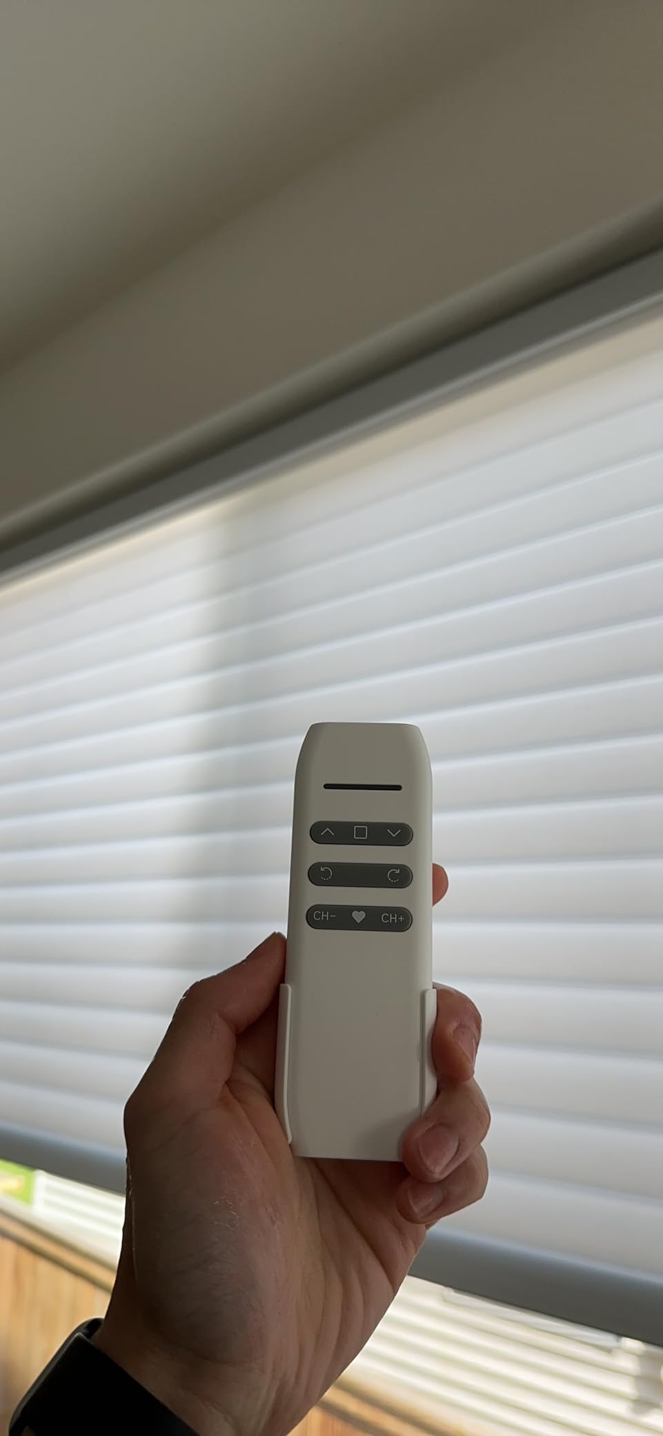 Motorized Blinds with Remote, Custom Automatic Electric Blackout Smart Blinds for Windows, Motorized Window Roller Shades Compatible with Alexa Google for Home Office, Luxury Black customer photo 2