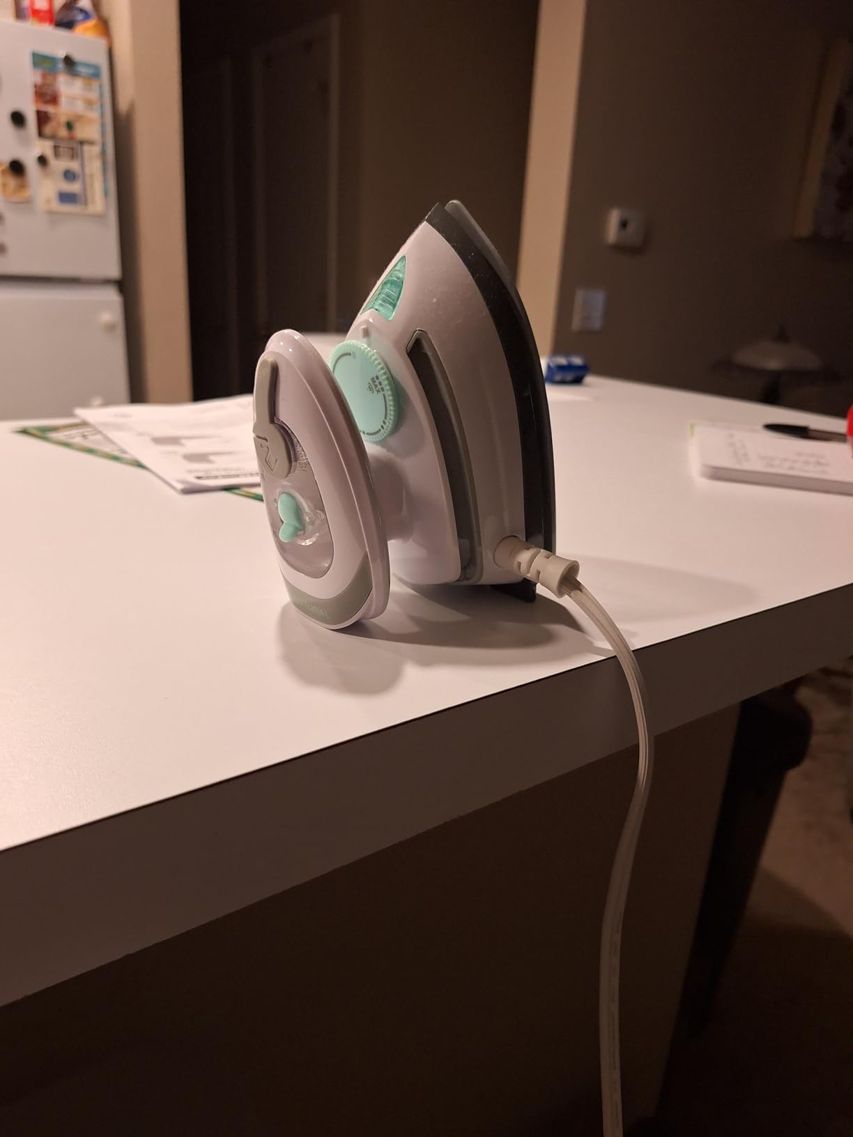 BEAUTURAL Mini Travel Steam Iron for Clothes with Dual Voltage, Temperature Control, Non-Stick Soleplate and Cord Storage, Ideal for Sewing, Quilting and Handcraft customer photo 1