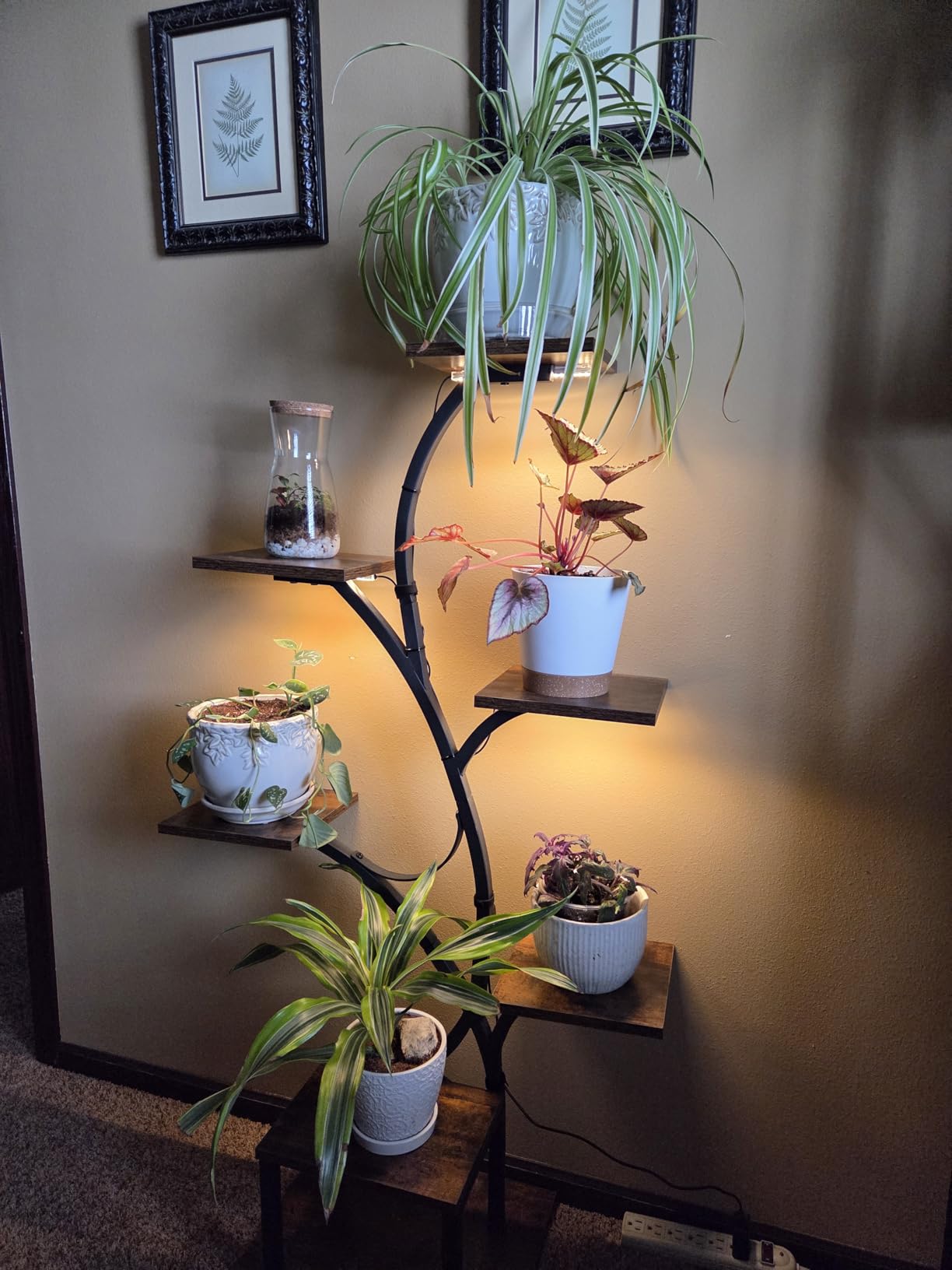 BACEKOLL Plant Stand Indoor with Grow Lights, 7 Tiered Indoor Plant Shelf, 49