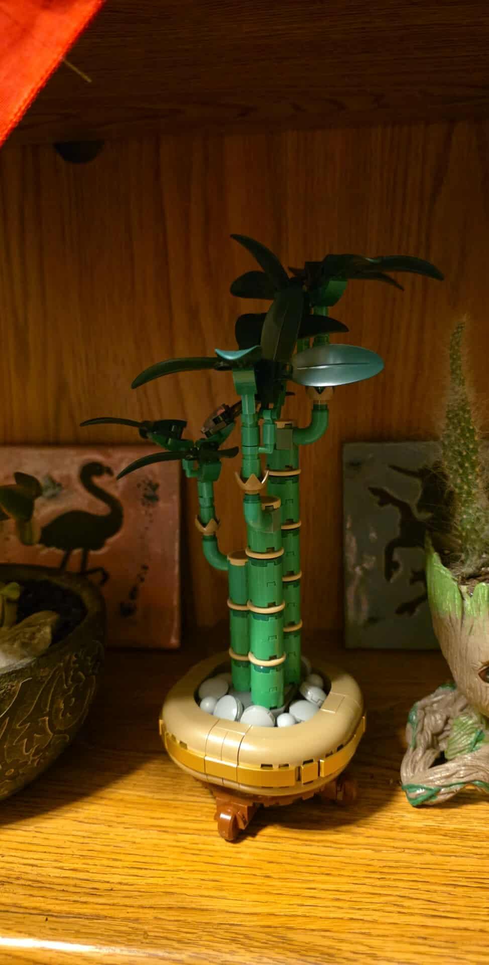 LEGO Botanicals Lucky Bamboo Building Set - Artificial Plant for Indoor Home Décor, Adults Ages 18+ - Gift for Valentines Day for Him - Fake Plant Decoration for Table, Desk, Office - 10344 Customer Review LEGO Botanicals Lucky Bamboo Building Set - Artificial Plant for Indoor Home Décor, Adults Ages 18+ - Gift for Valentines Day for Him - Fake Plant Decoration for Table, Desk, Office - 10344 - Customer Photo 2